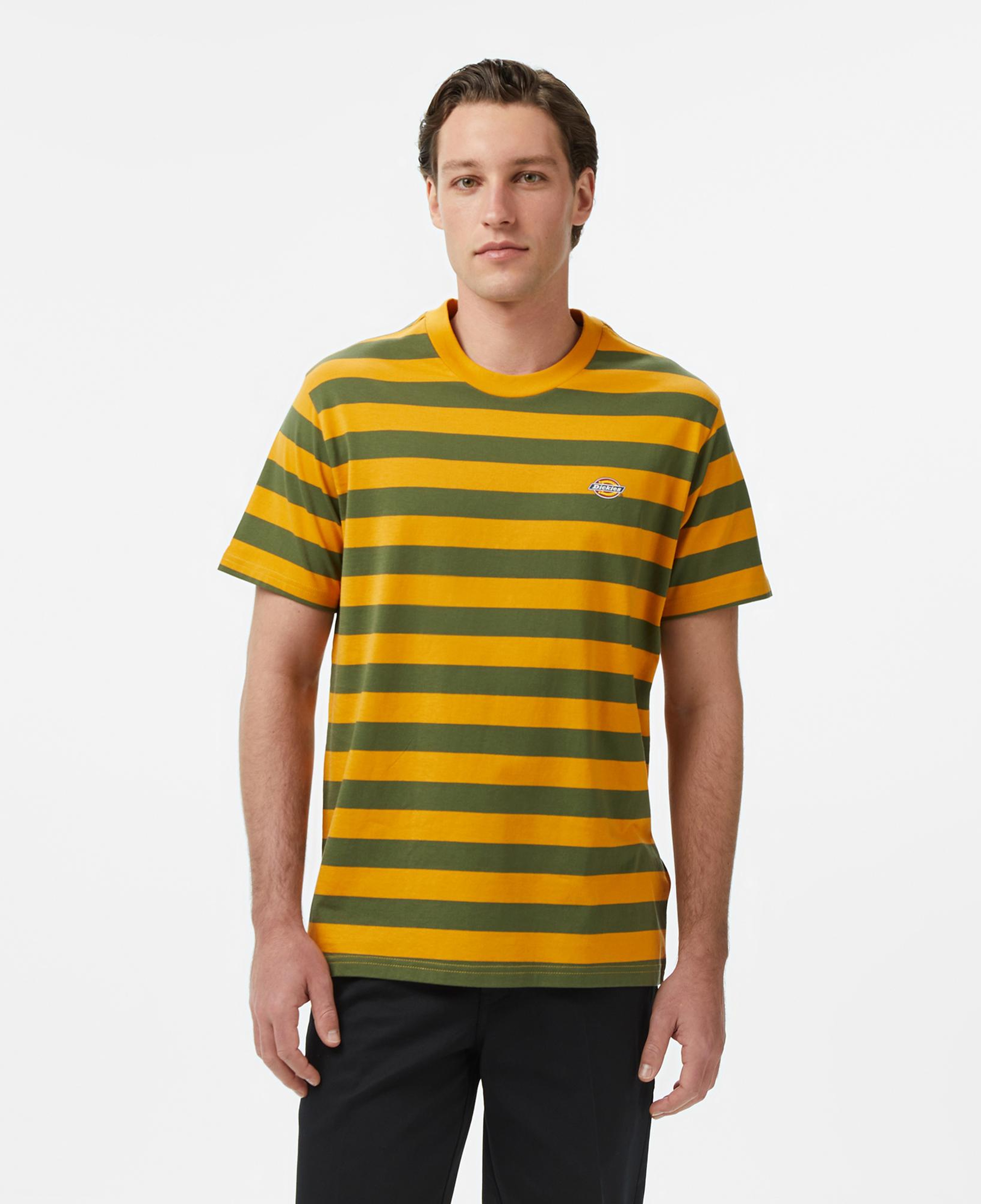 Dickies Rivergrove Erkek Renkli T-Shirt