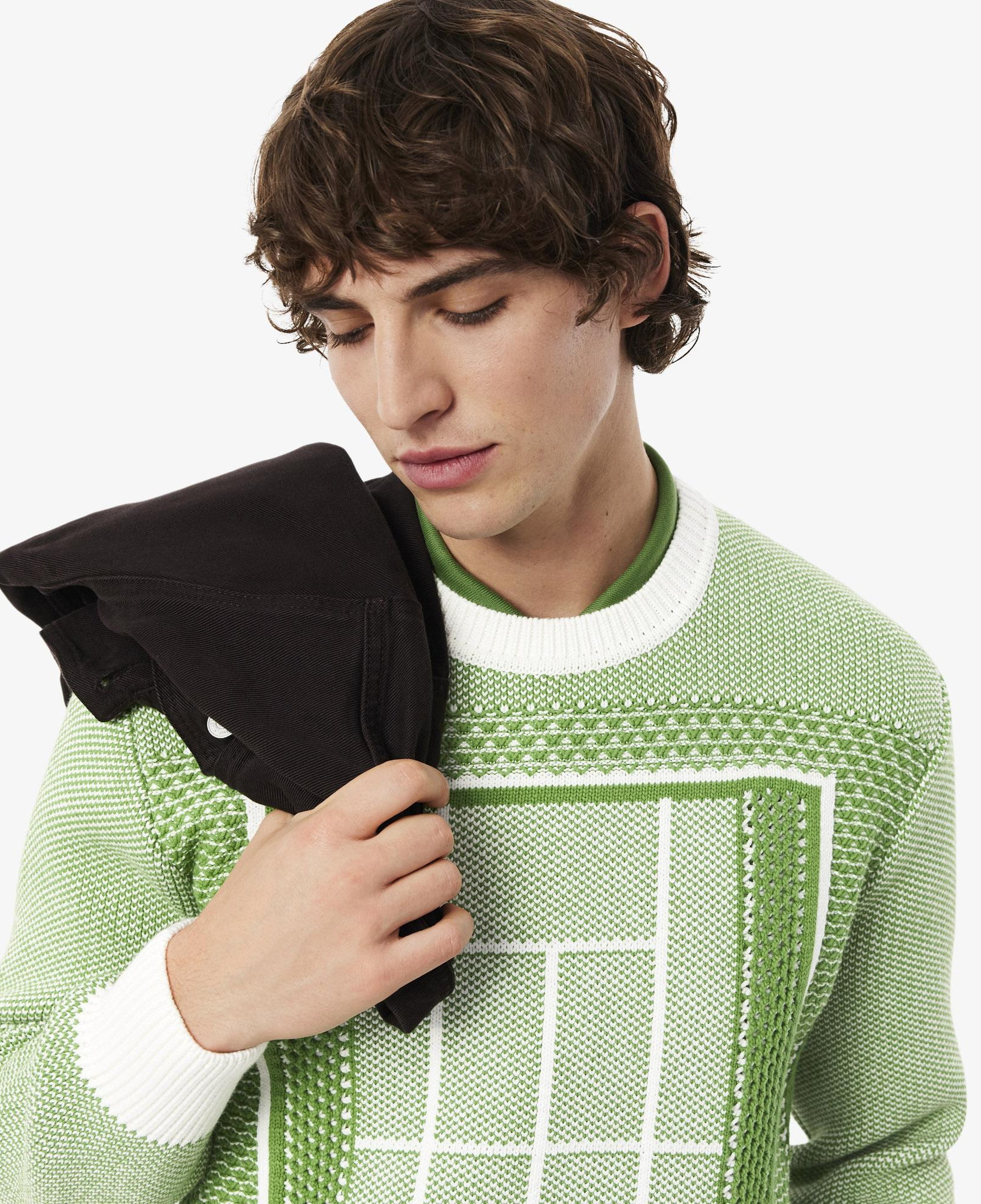 Erkek Classic Fit Bisiklet Yaka Desenli Yeşil Kazak