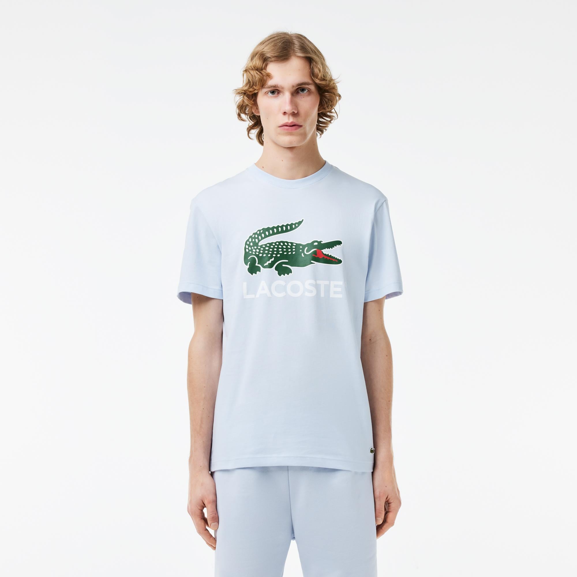 Erkek Regular Fit Bisiklet Yaka Baskılı Açık Mavi T-Shirt