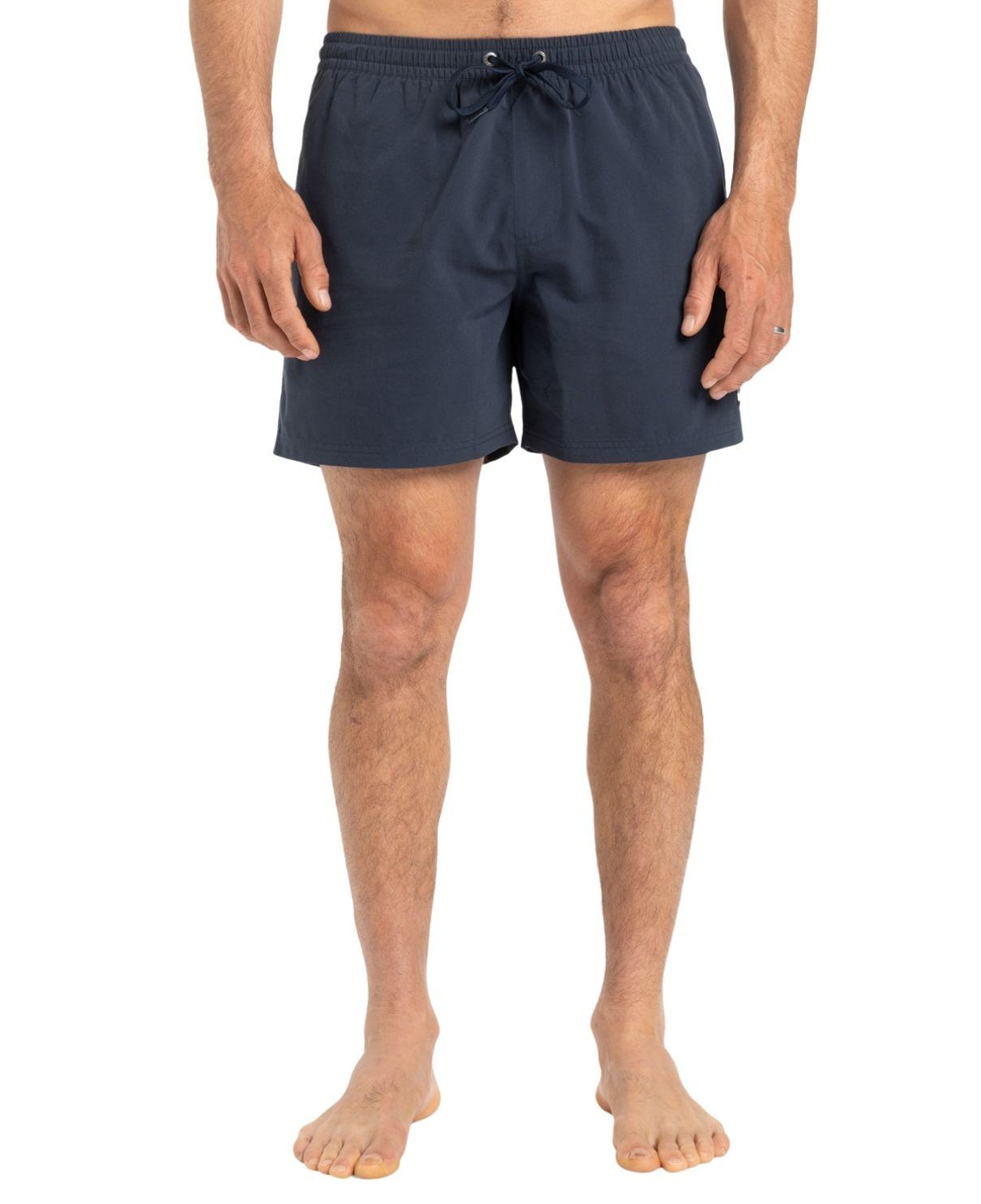 Quiksilver Everyday 15 Erkek Mavi Volley Short