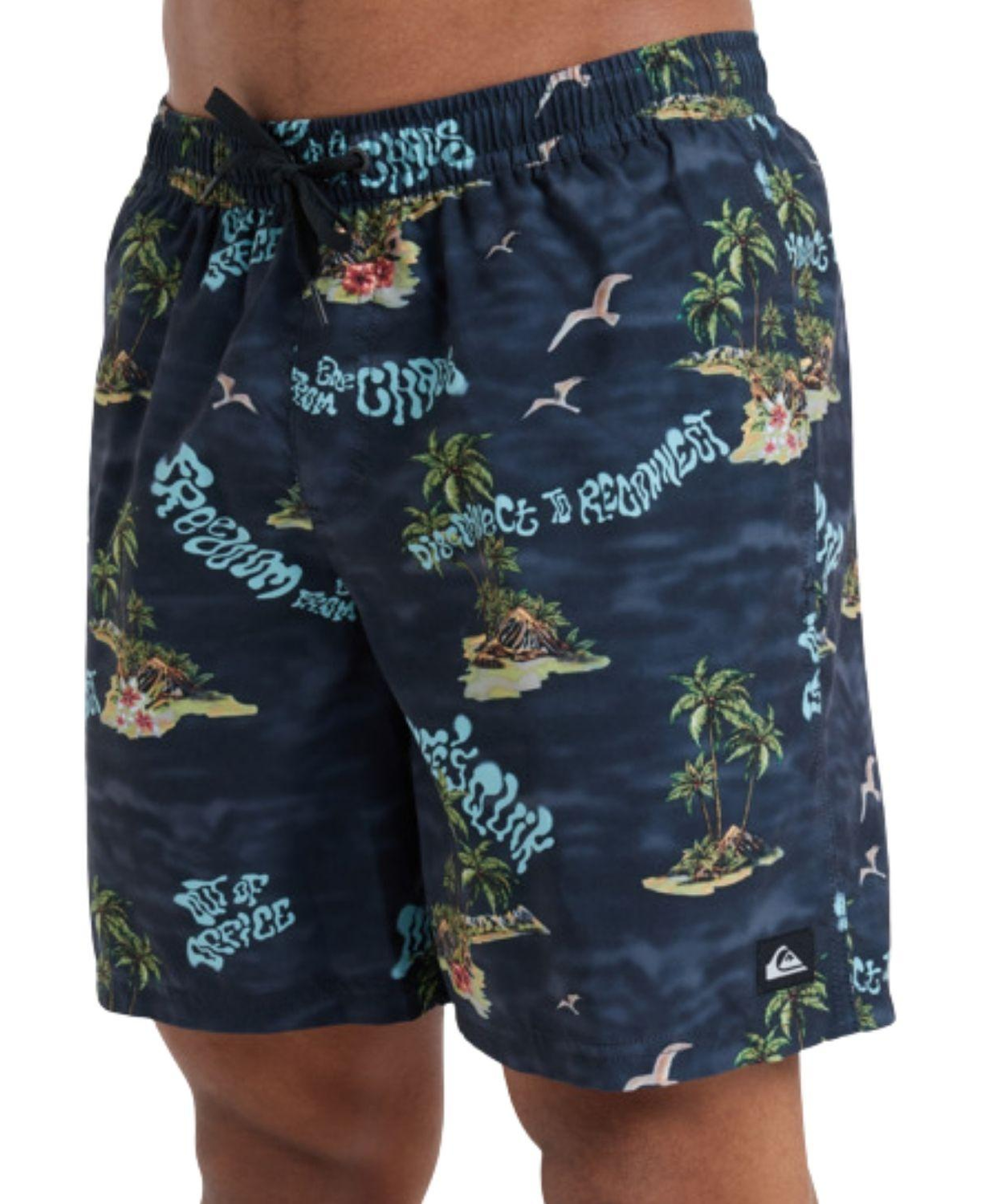 Quiksilver Everyday Straight Volley 17 Erkek Siyah Volley Short
