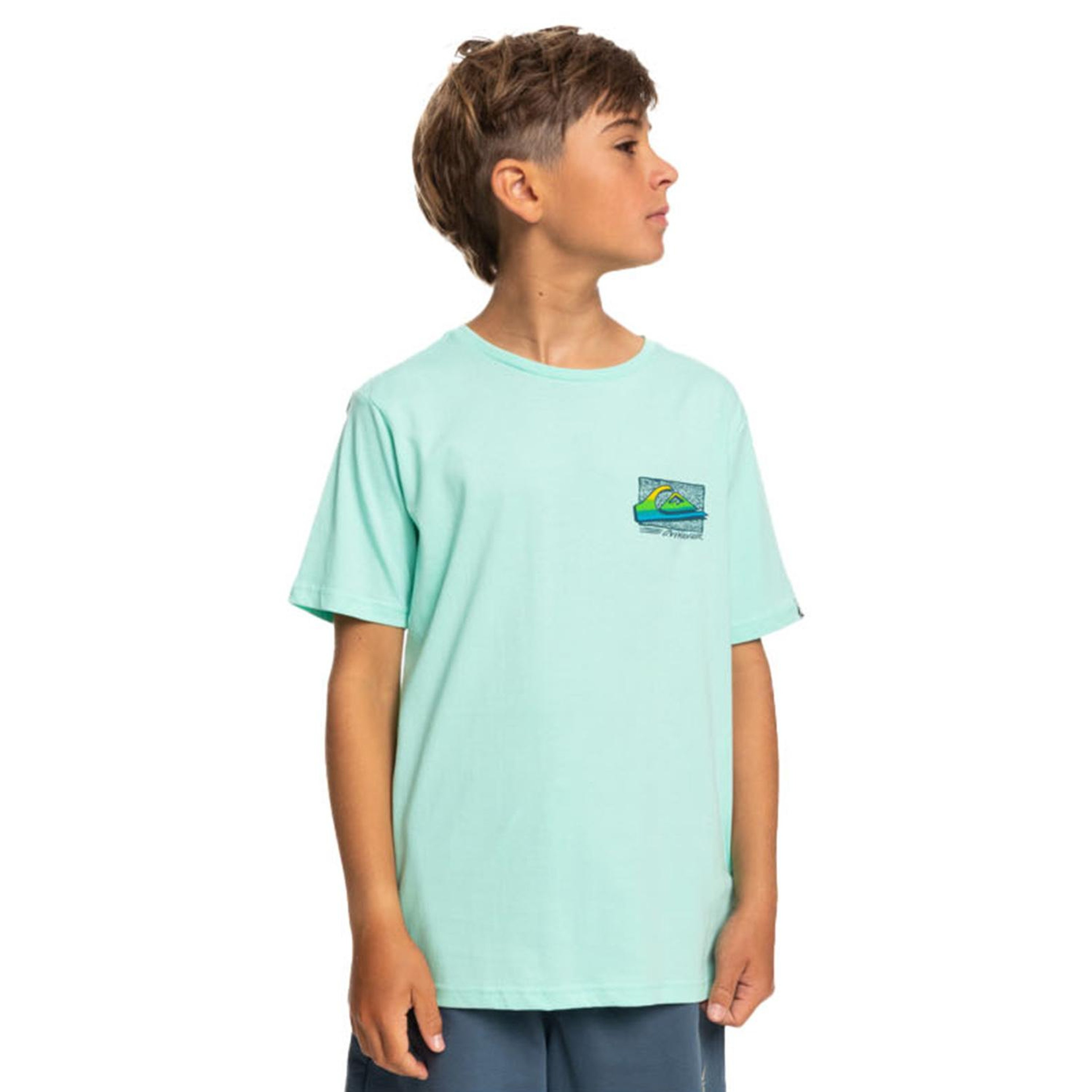 Quiksilver Retro Fade Erkek Çocuk Yeşil Tişört