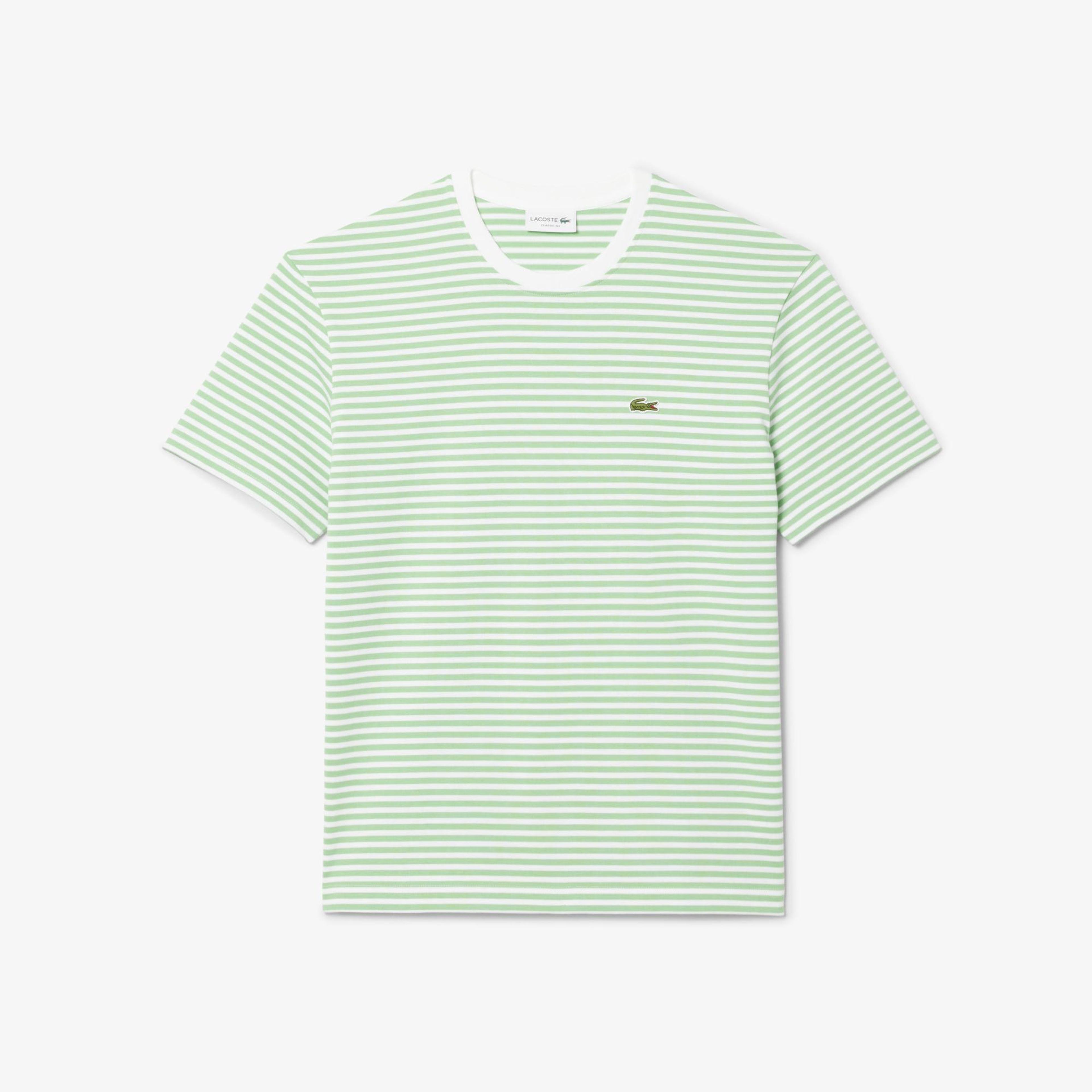 Erkek Classic Fit Bisiklet Yaka Çizgili Açık Yeşil T-Shirt