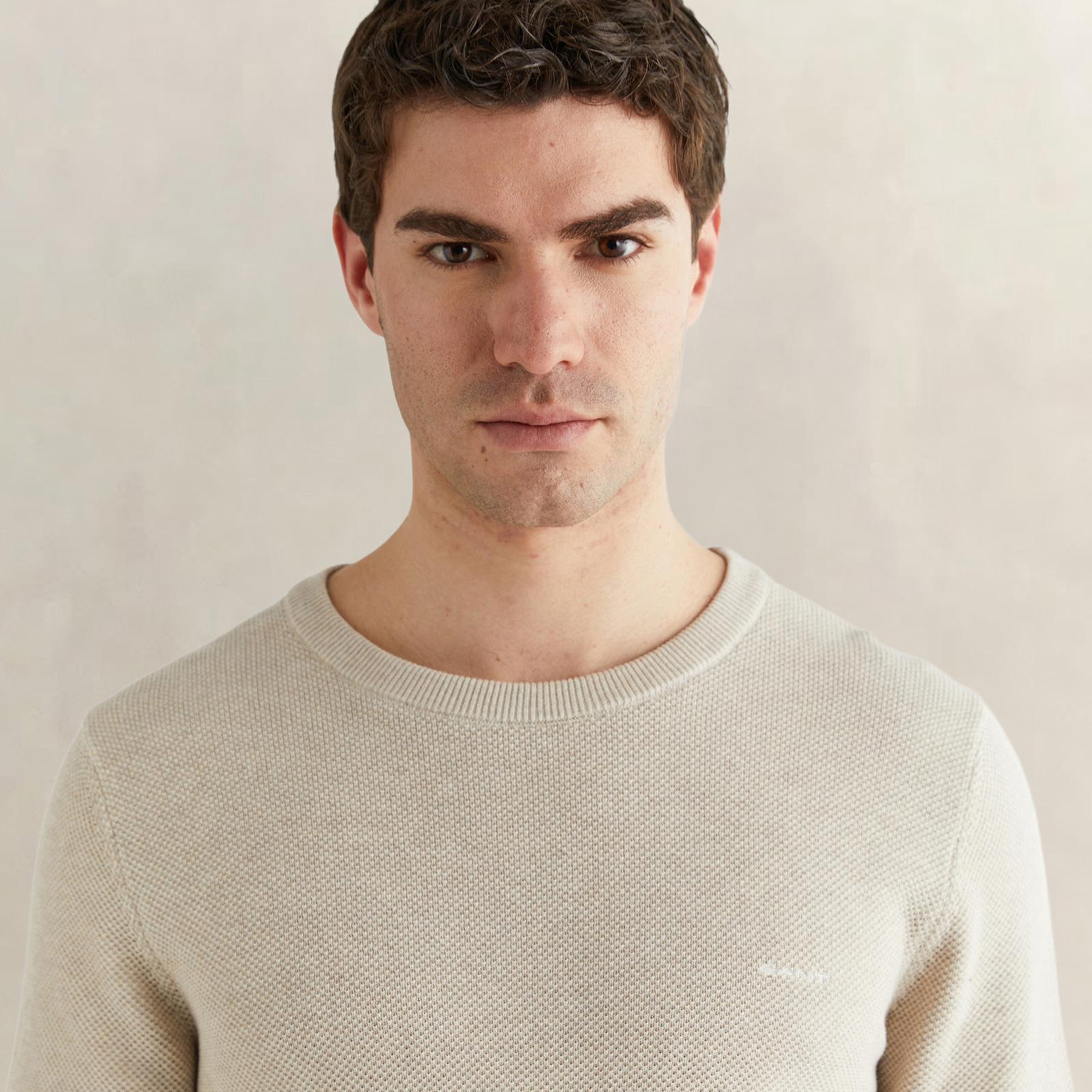 GANT Erkek Bej Regular Fit Bisiklet Yaka Triko