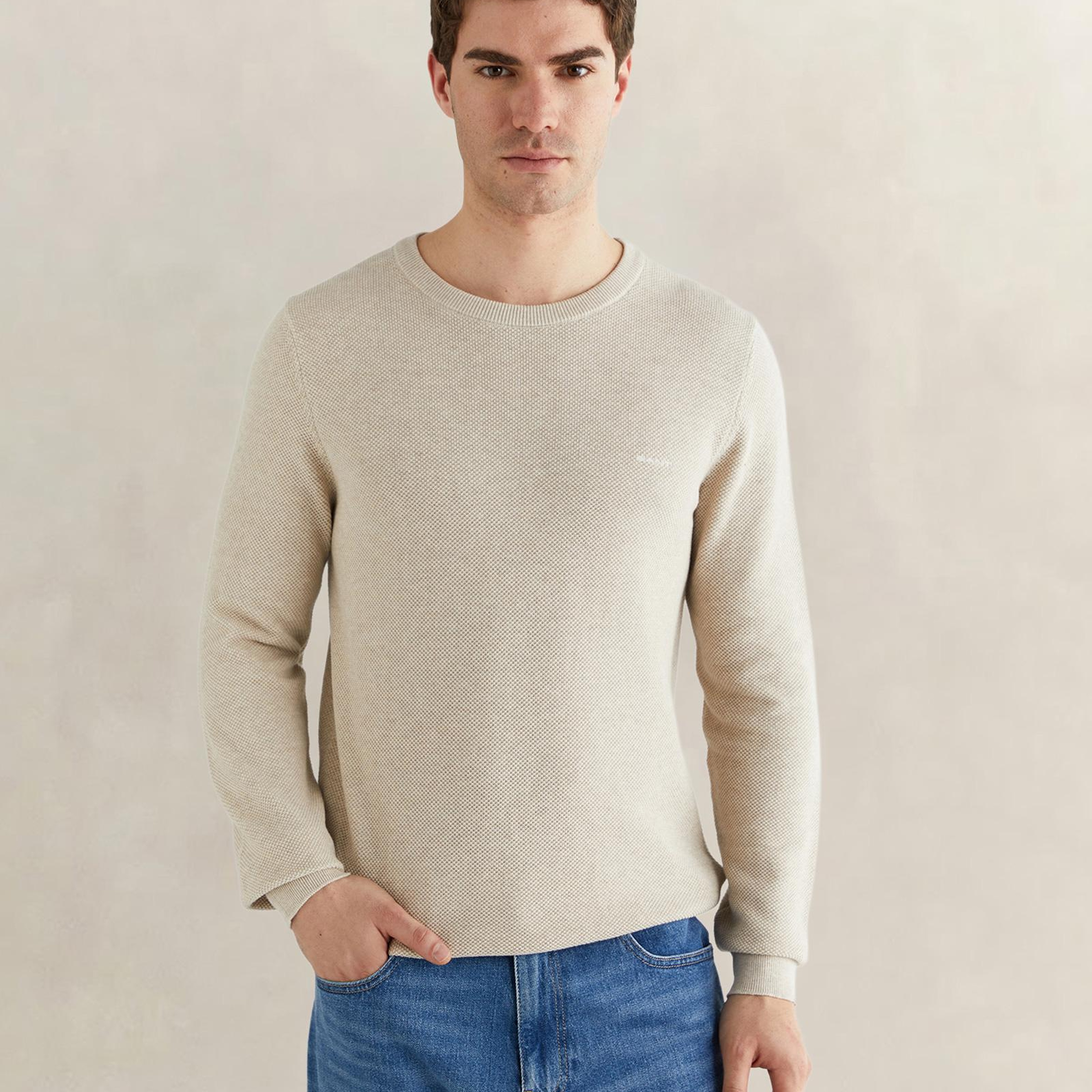 GANT Erkek Bej Regular Fit Bisiklet Yaka Triko