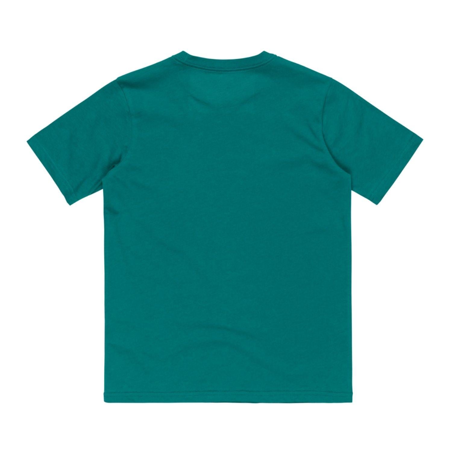 Quiksilver Ev Comp Logo Erkek Çocuk Yeşil Tişört