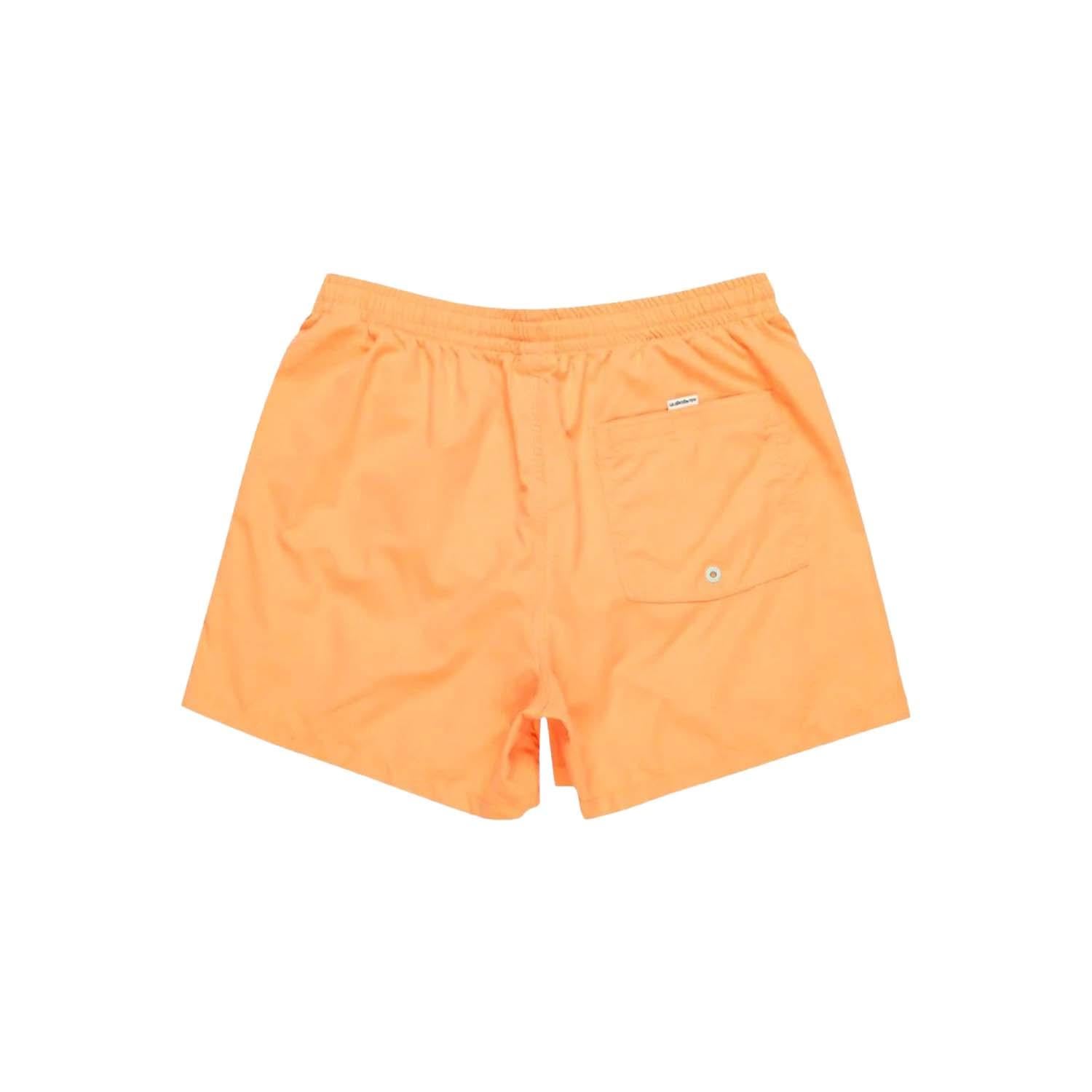 Quiksilver Behind Waves Erkek Volley