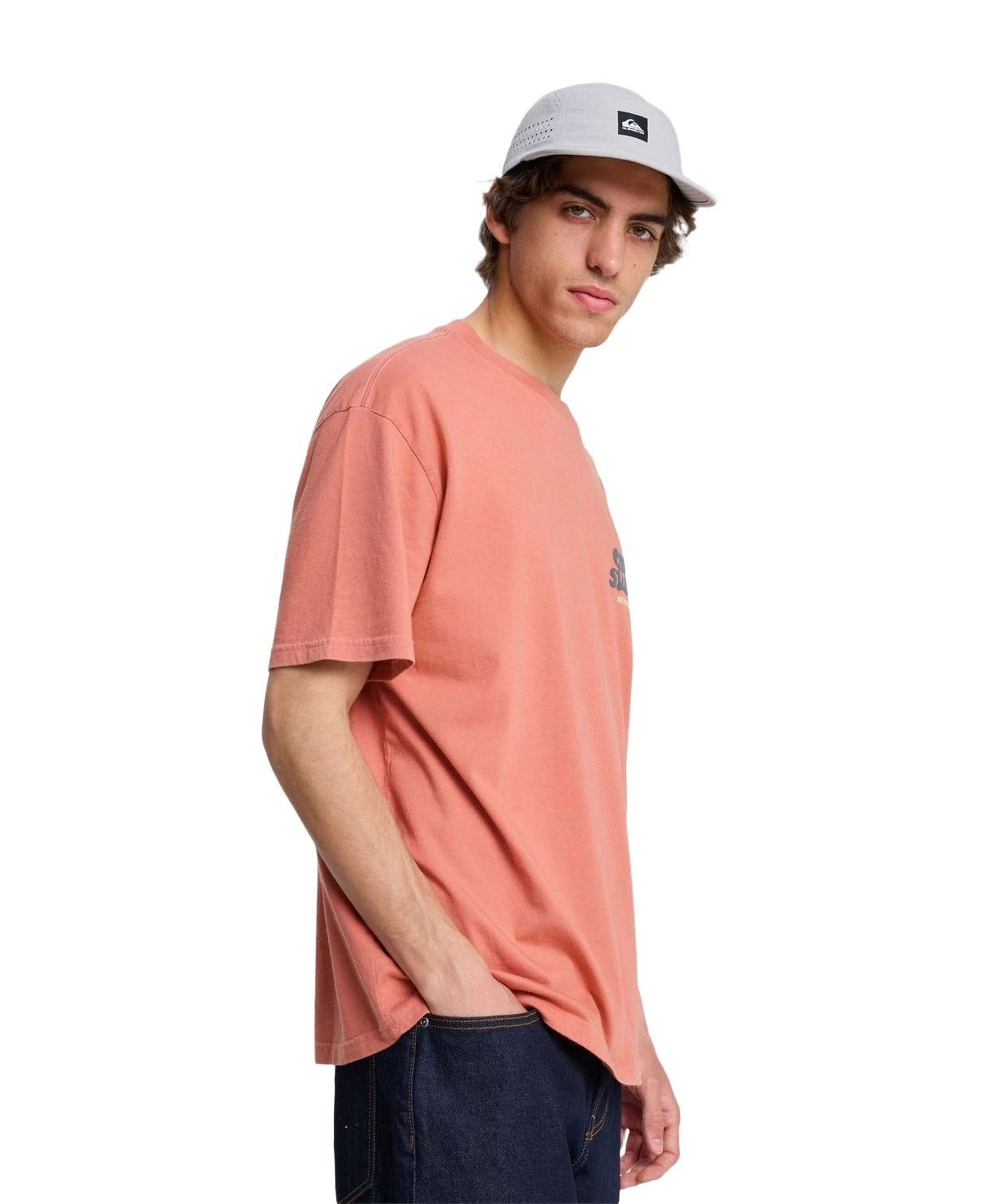 Quiksilver Fruits Tide Erkek Pembe Tişört
