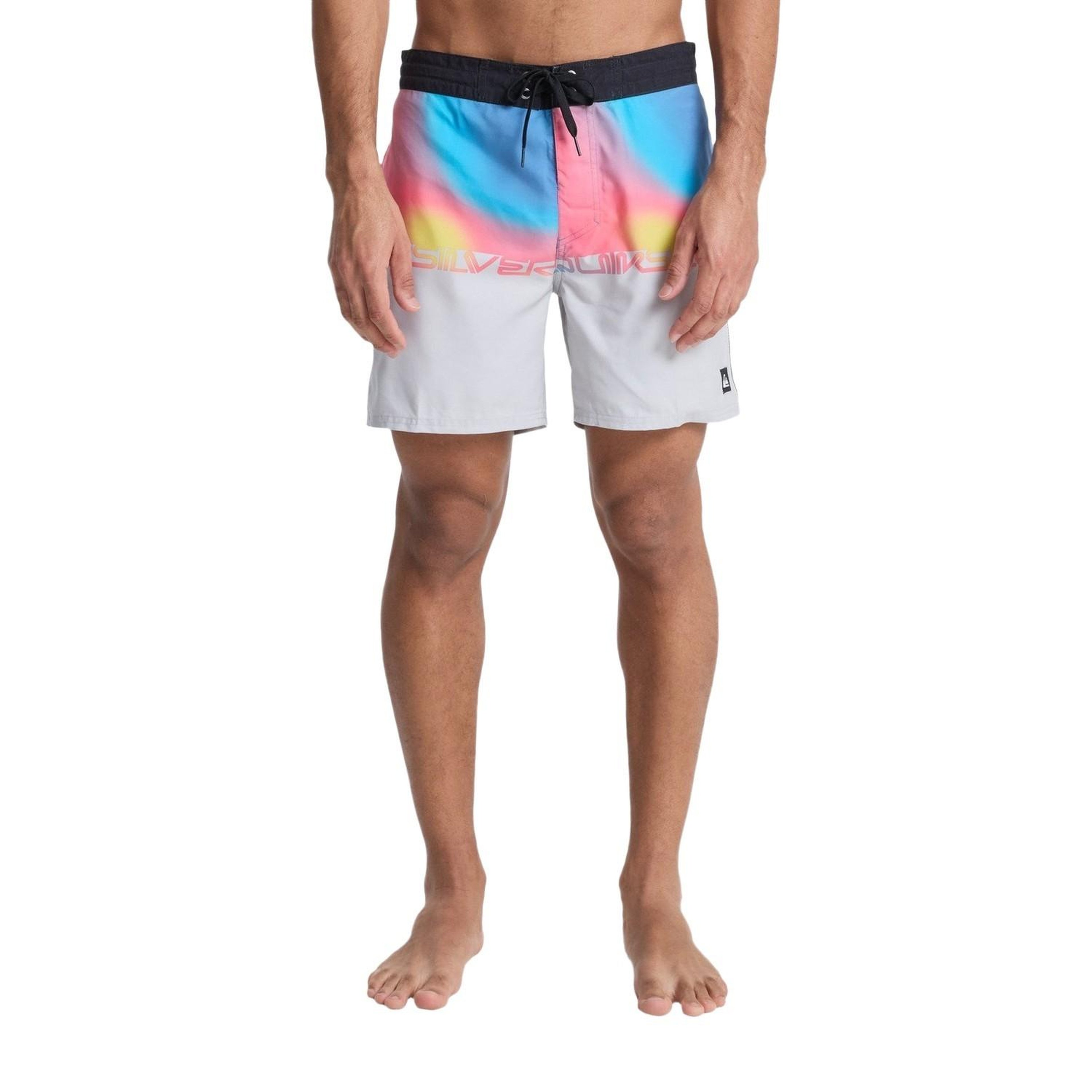 Quiksilver Everyday Erkek Gri Boardshort