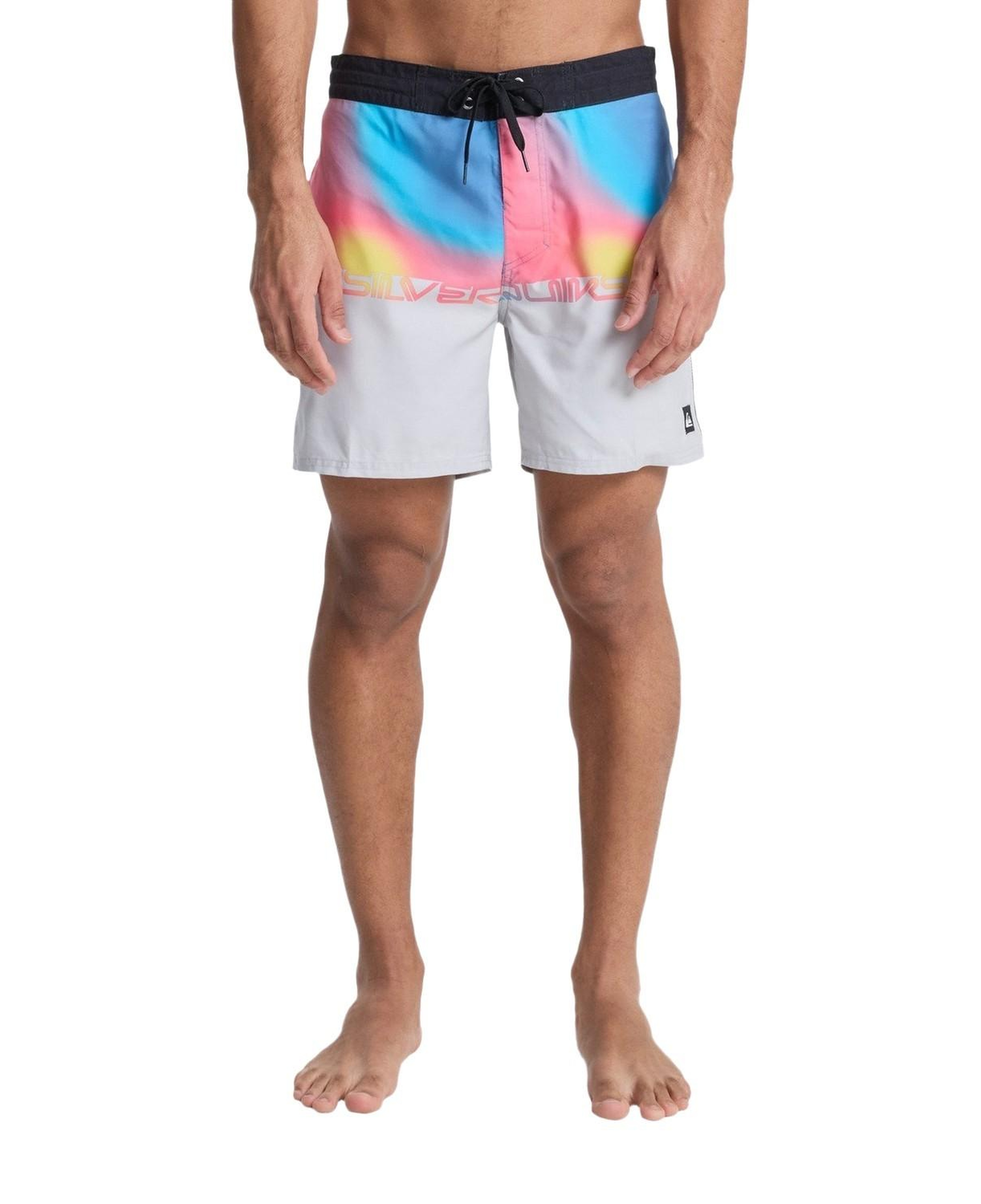 Quiksilver Everyday Erkek Gri Boardshort