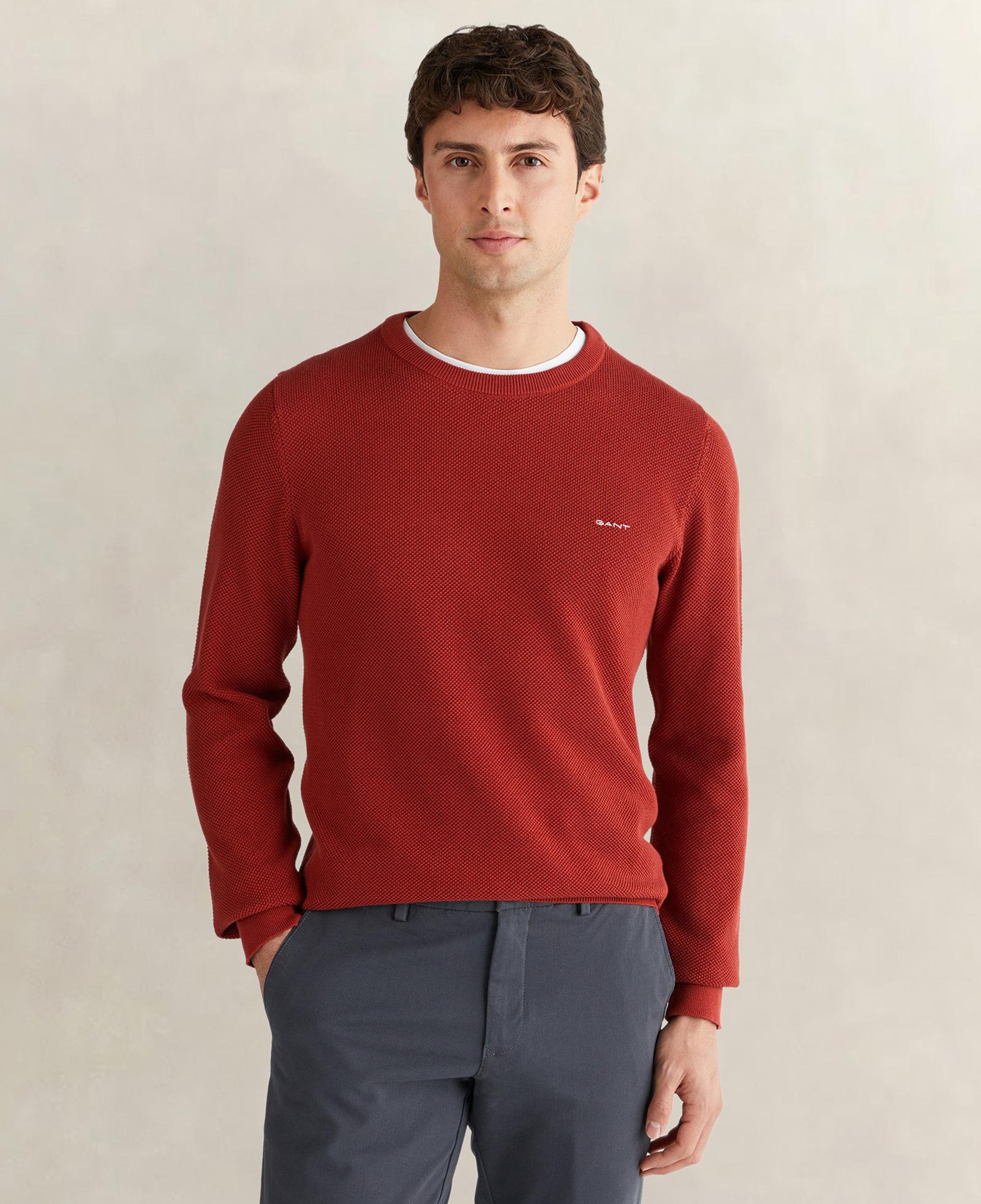 GANT Erkek Kırmızı Regular Fit Bisiklet Yaka Triko
