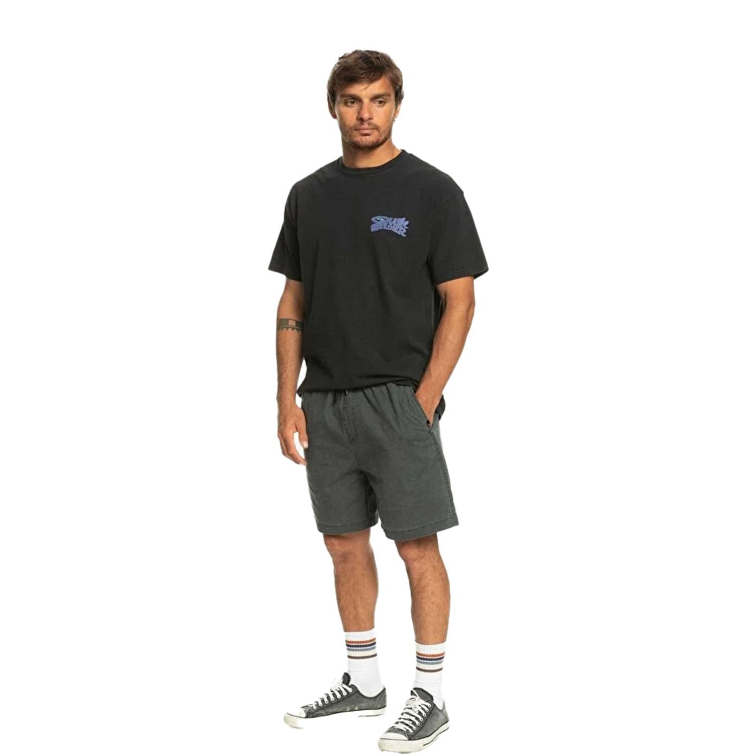 Quiksilver Taxerws Wkst Erkek Siyah Walkshort