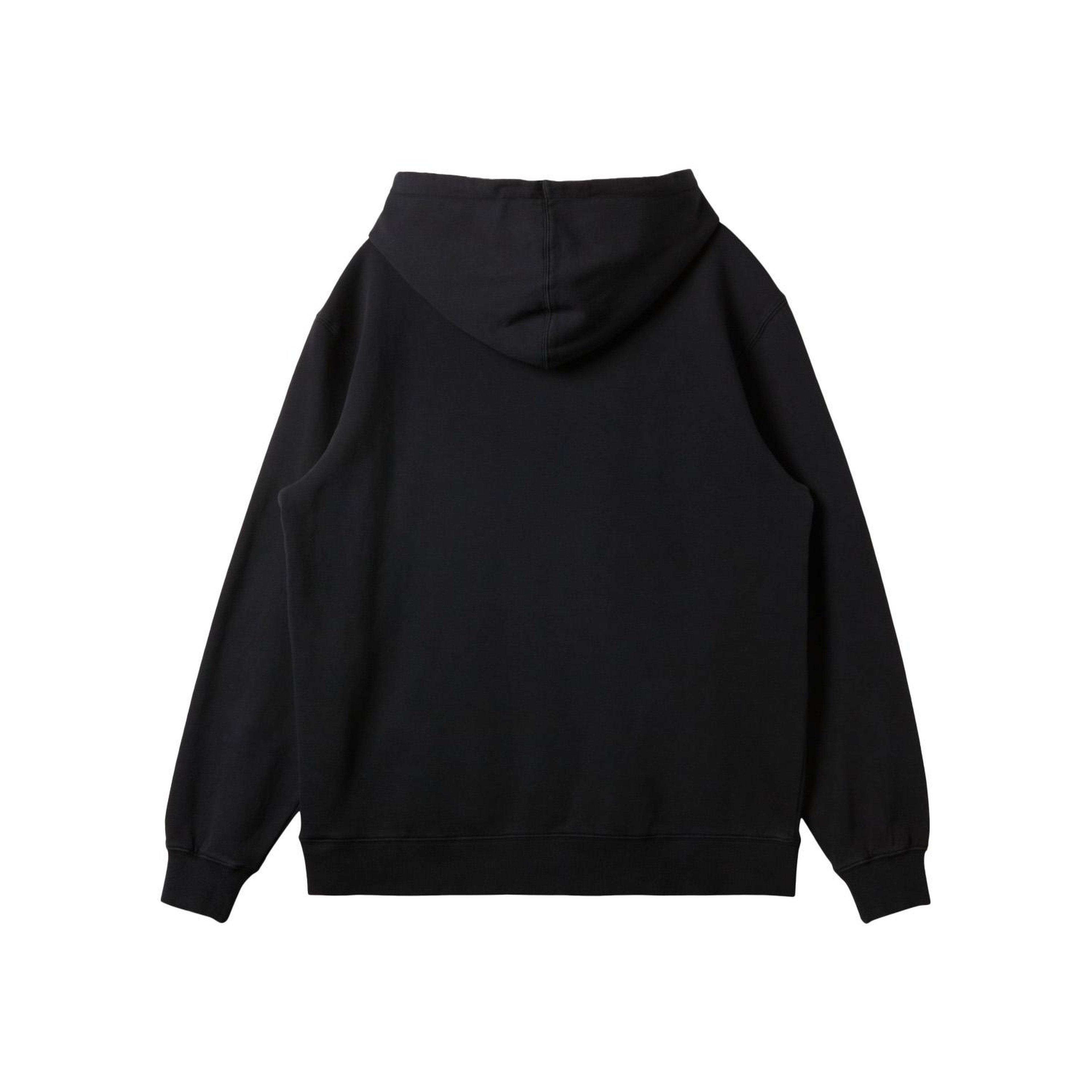 Quiksilver Salt Water Hoodie Erkek Sweatshirt