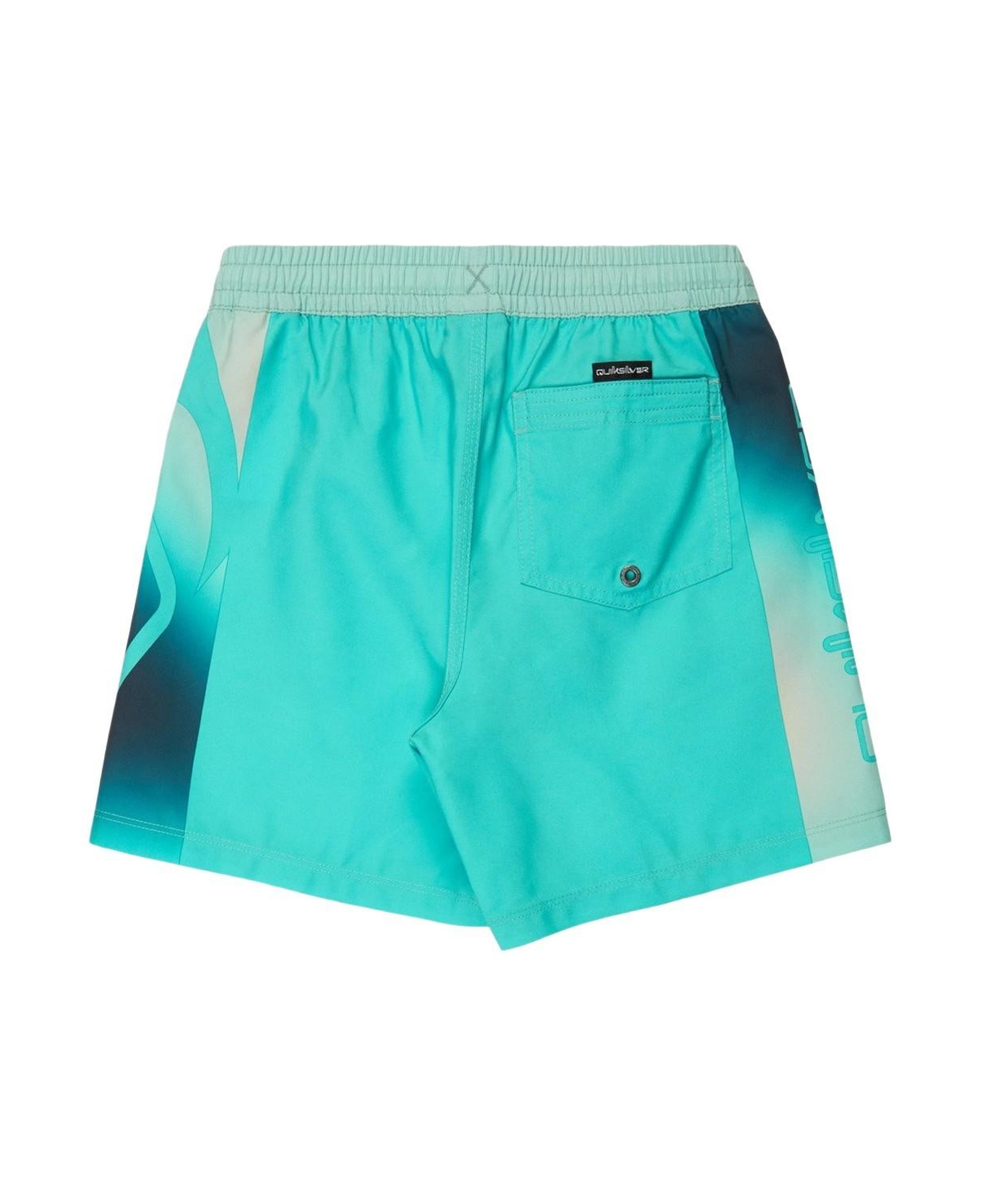 Quiksilver Everyday Holmes Erkek Çocuk Mavi Volley Short