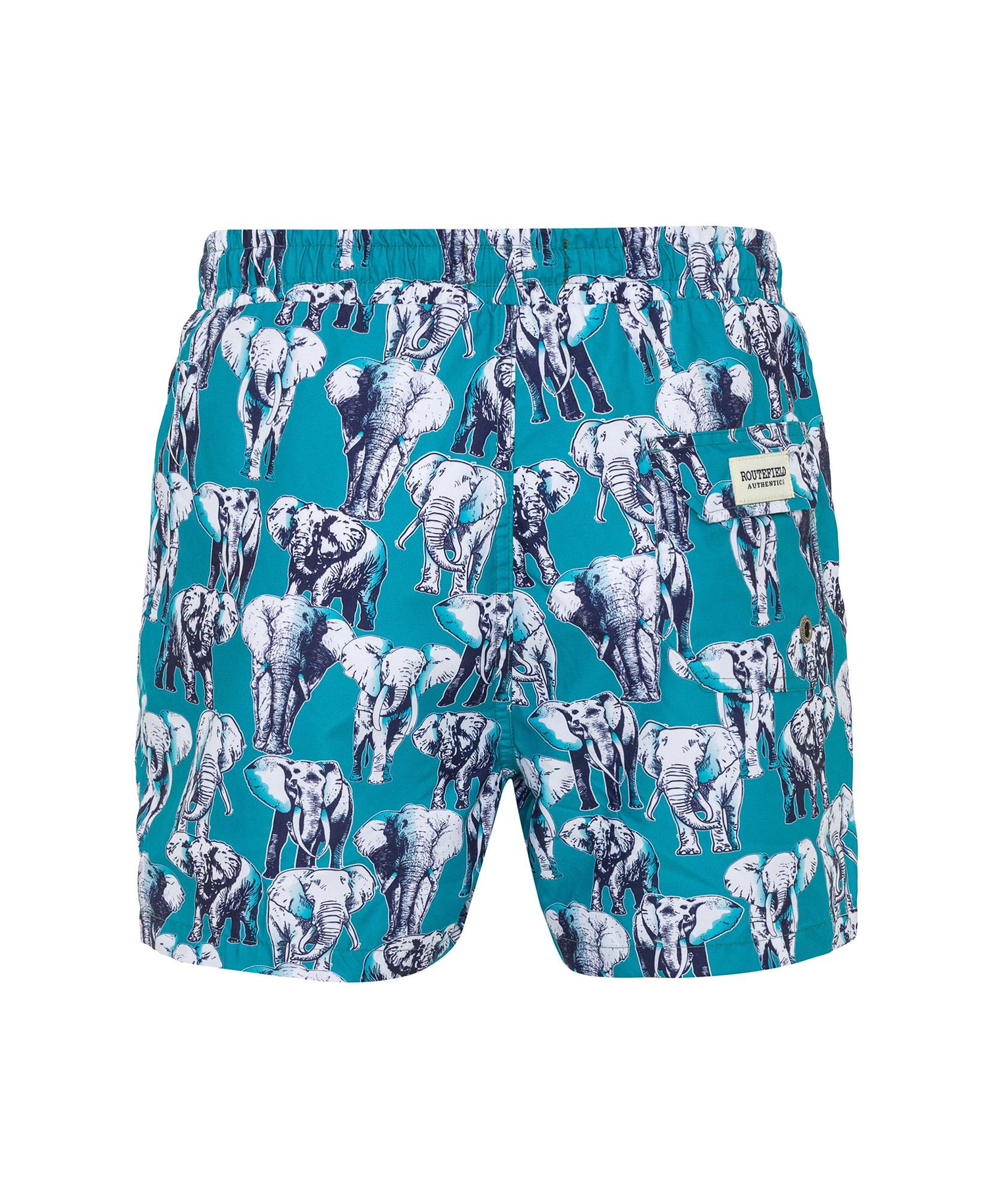 Routefield Vince Erkek Volley Short