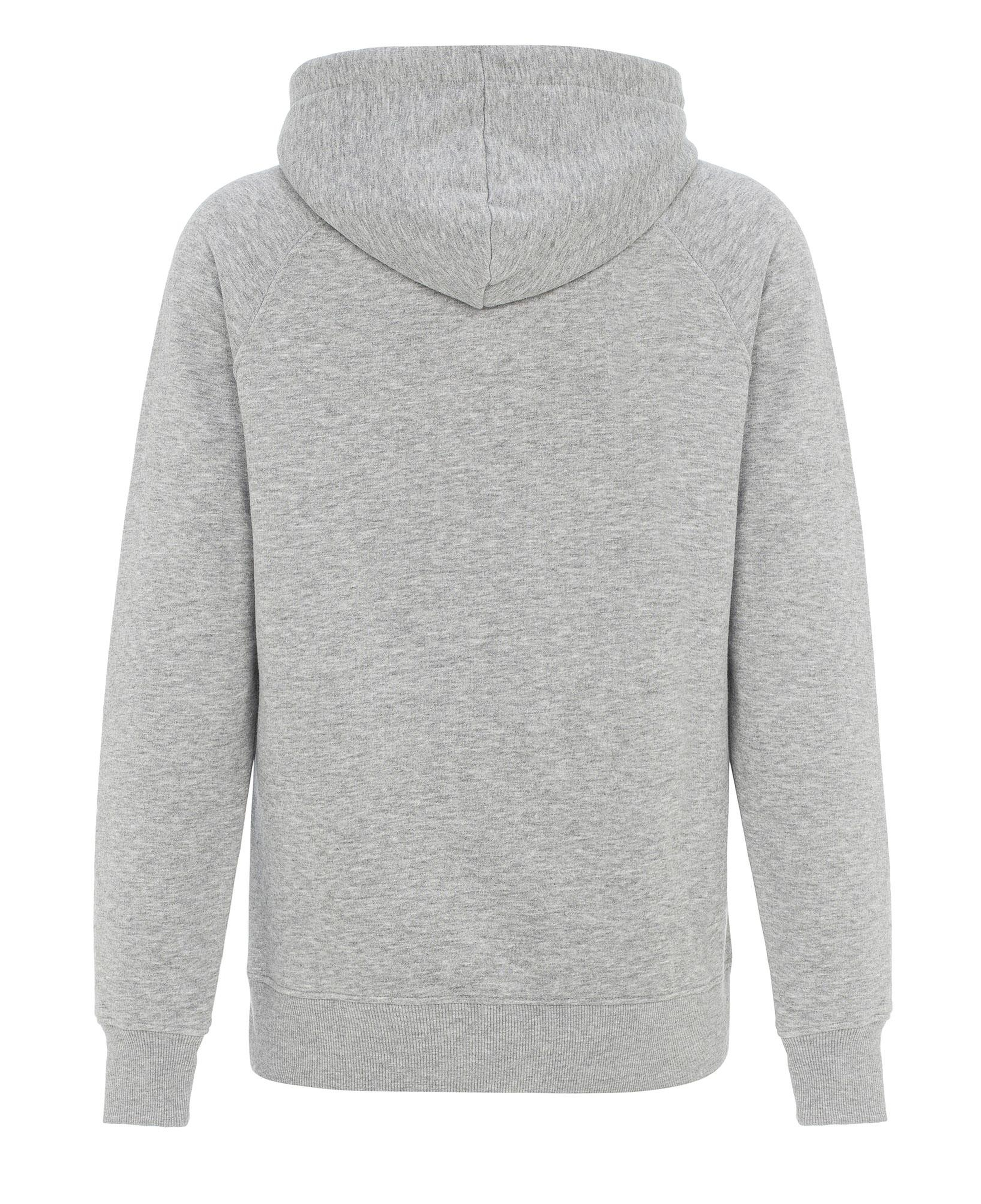 Routefield Hedge Erkek Gri Sweatshirt