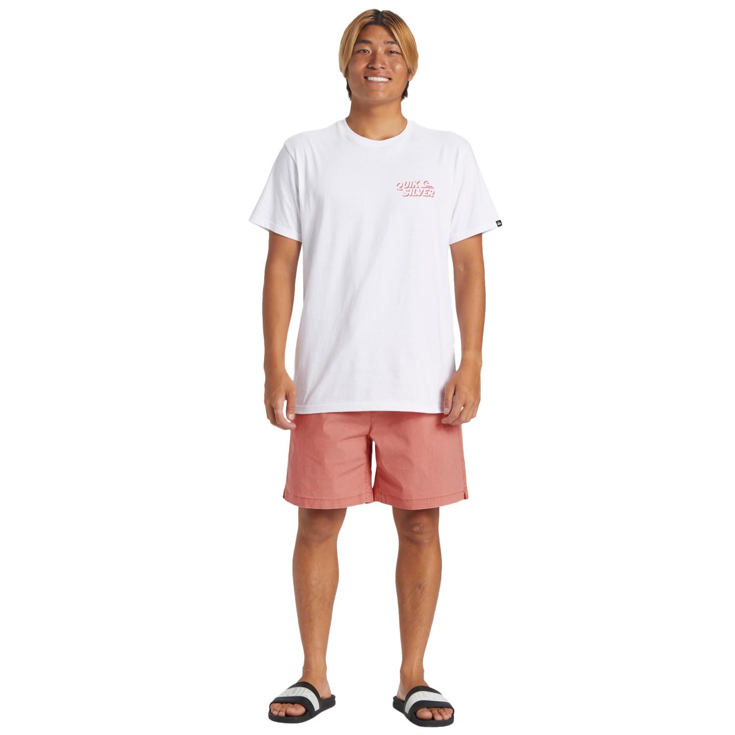 Quiksilver Taxer Erkek Walkshort