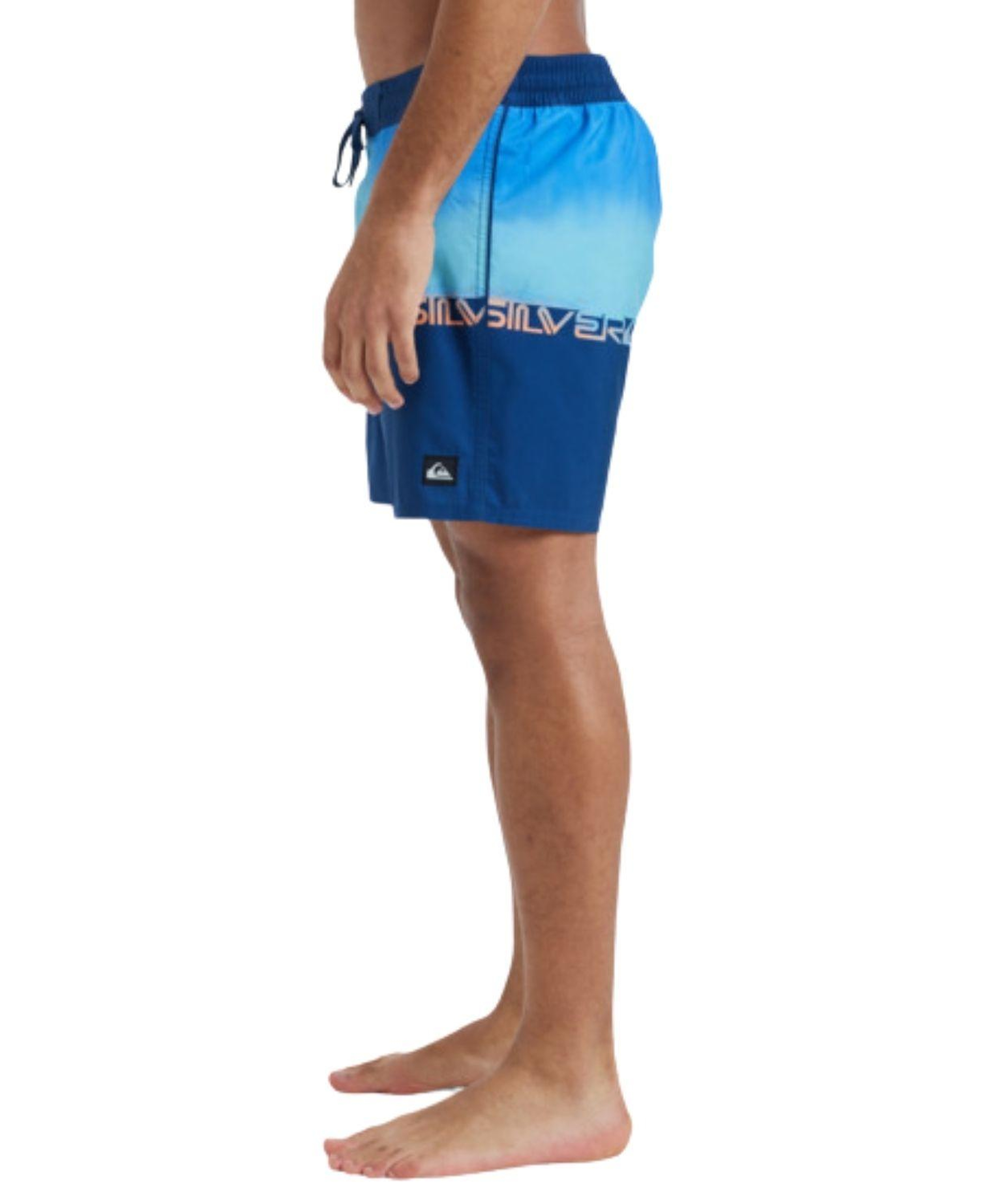 Quiksilver Everyday Erkek Mavi Astarsız Boardshort