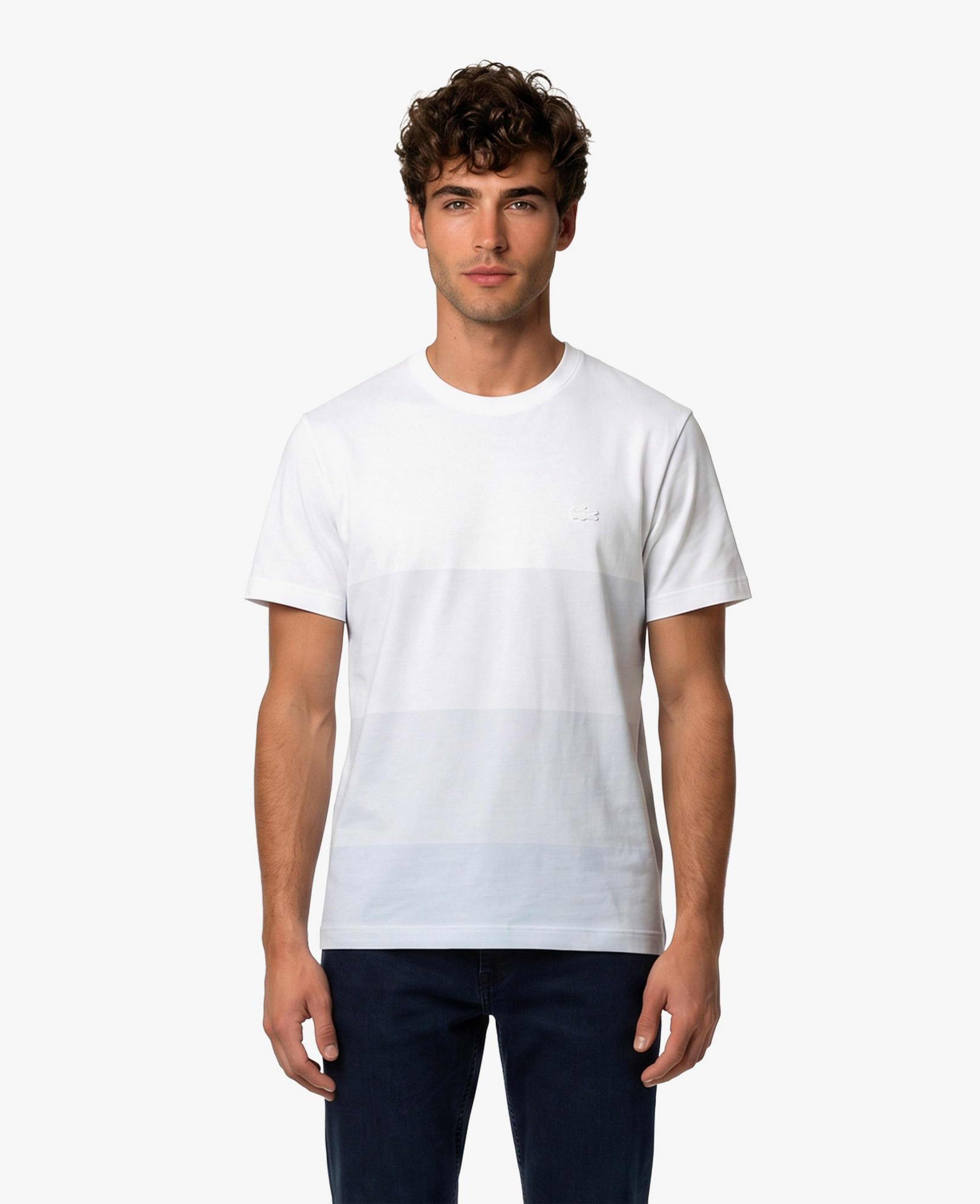 Erkek Regular Fit Bisiklet Yaka Renk Bloklu Beyaz T-Shirt