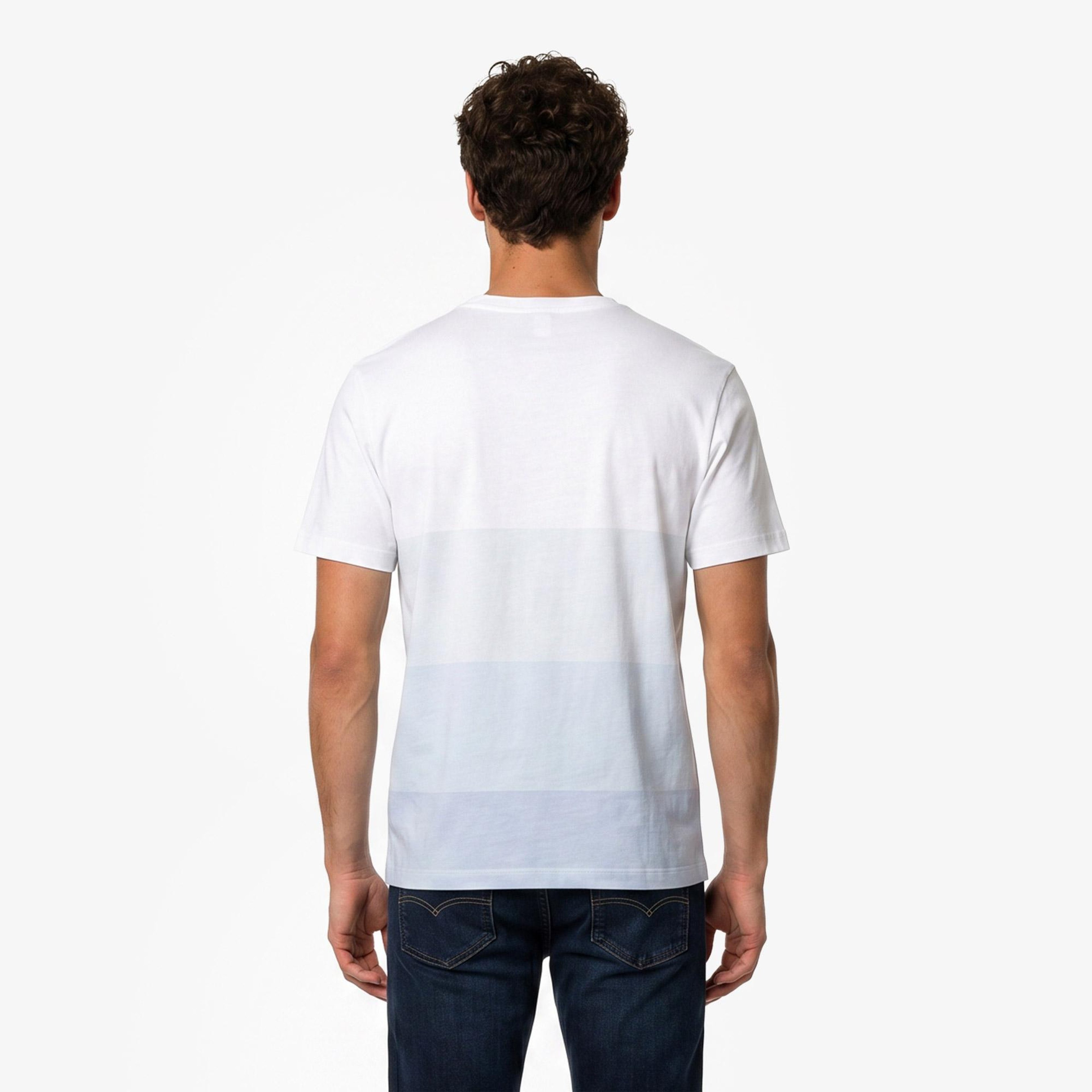 Erkek Regular Fit Bisiklet Yaka Renk Bloklu Beyaz T-Shirt