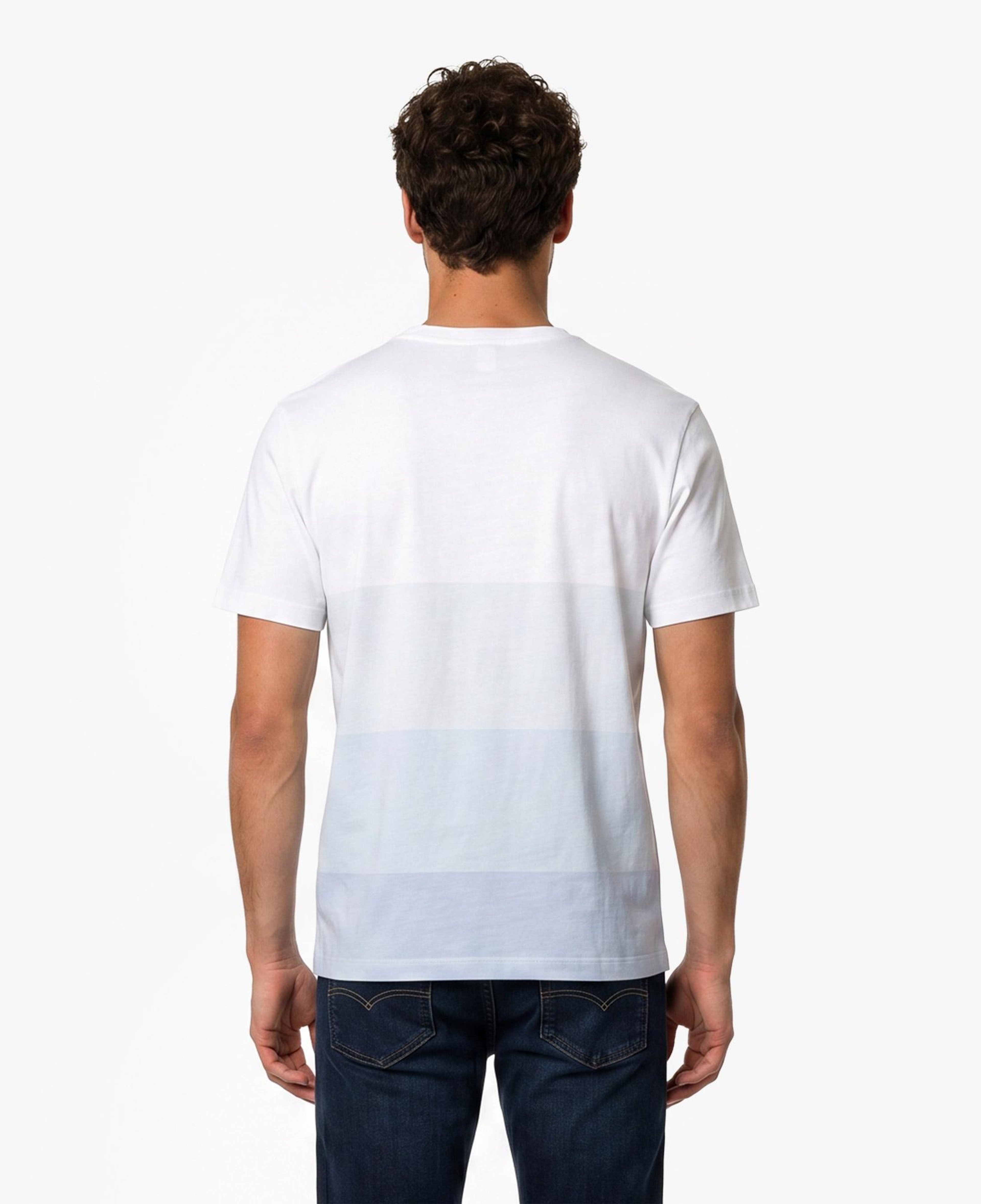 Erkek Regular Fit Bisiklet Yaka Renk Bloklu Beyaz T-Shirt