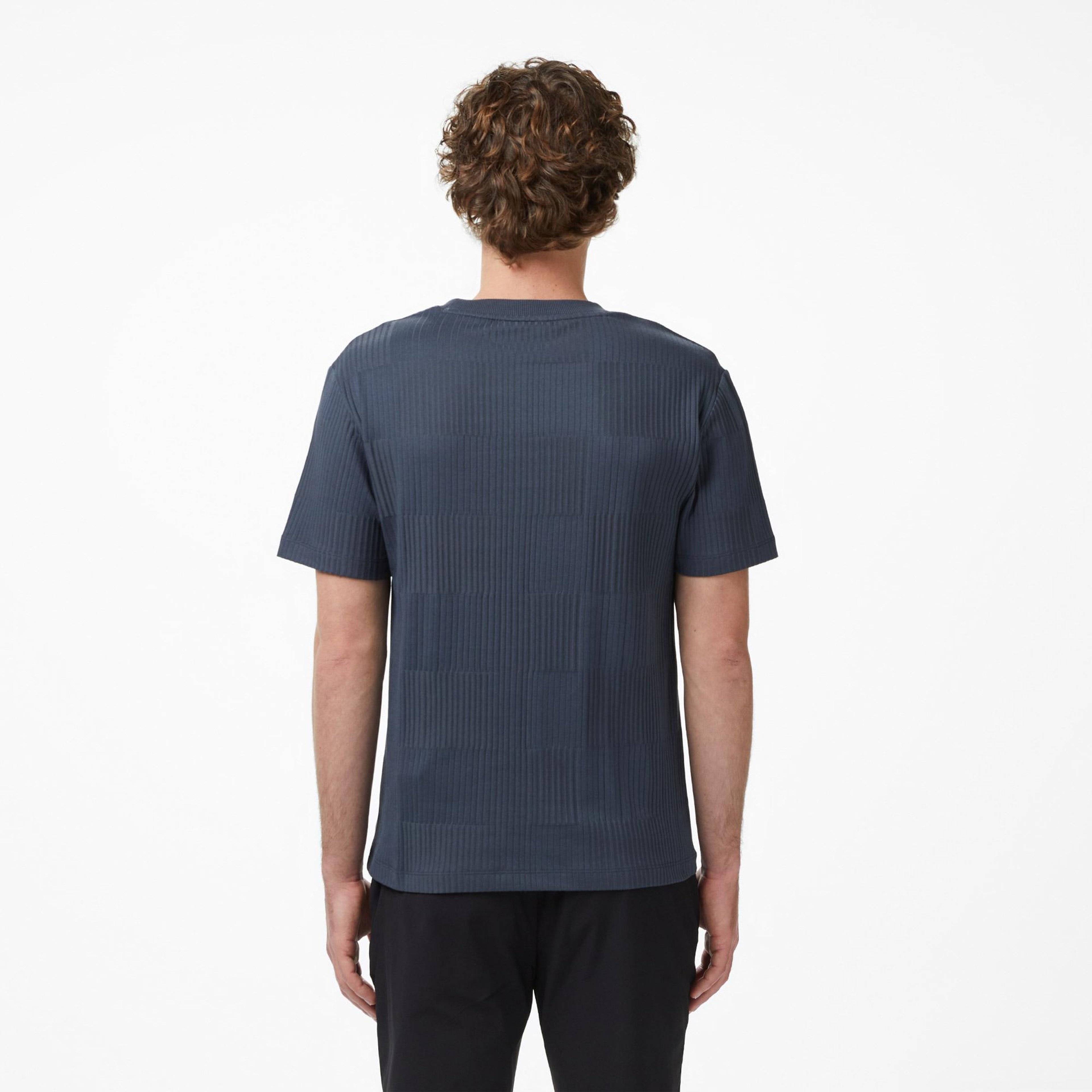 Erkek Regular Fit Bisiklet Yaka Çizgili Koyu Gri T-Shirt