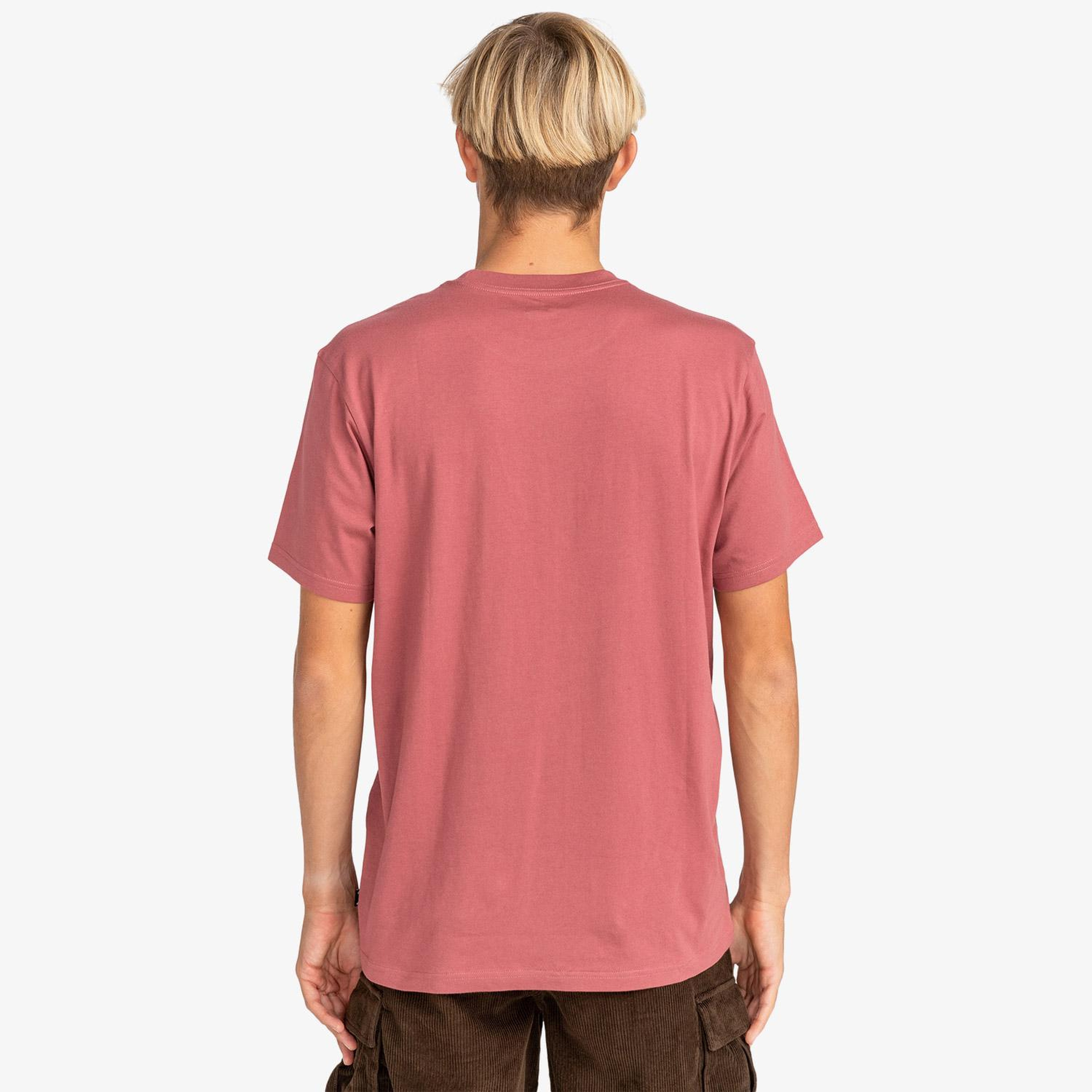 Billabong Stacked Arch Erkek Pembe Günlük T-Shirt