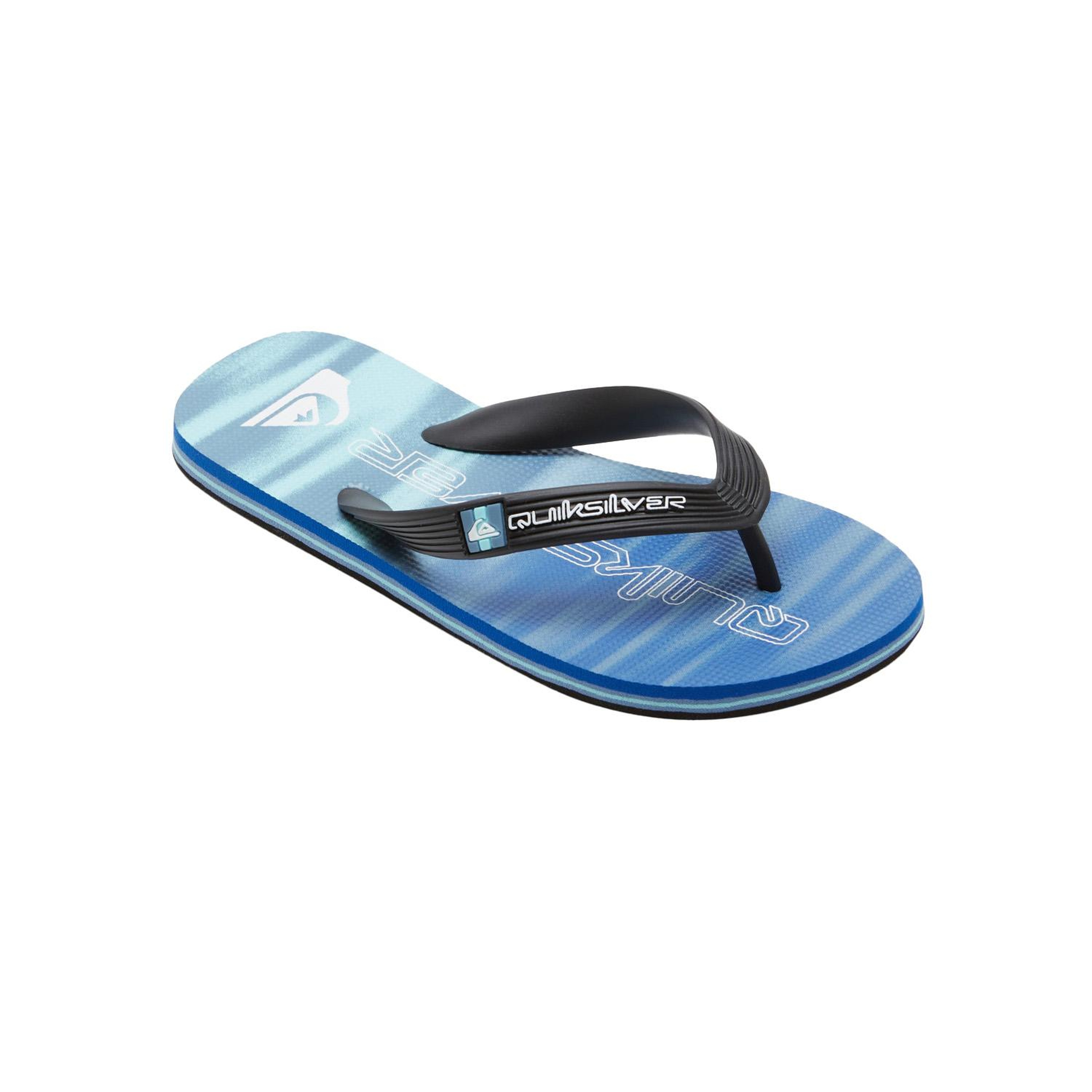 Quiksilver Molokai Art II Youth Erkek Çocuk Mavi Terlik