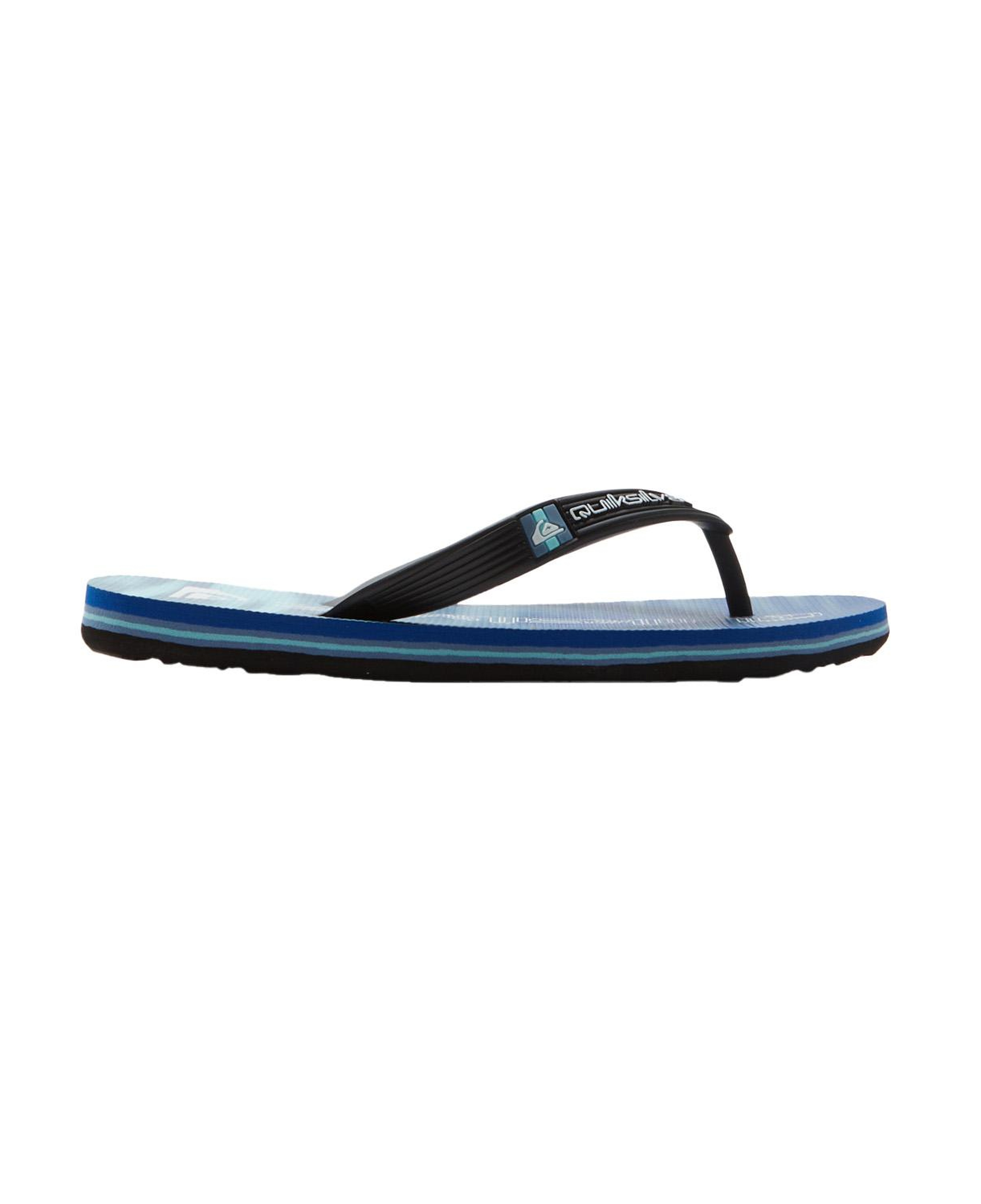 Quiksilver Molokai Art II Youth Erkek Çocuk Mavi Terlik