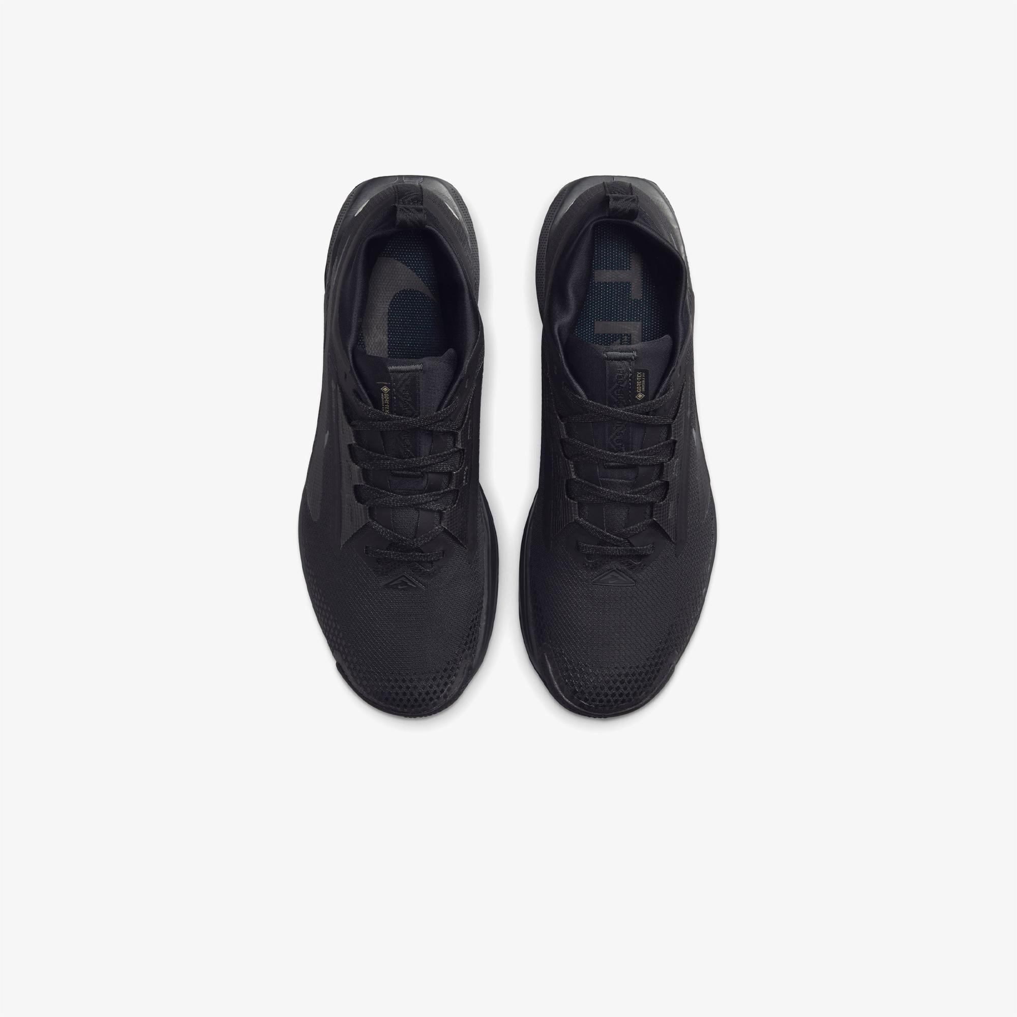 Nike Pegasus Trail 5 Gore-Tex Erkek Siyah Koşu Ayakkabısı