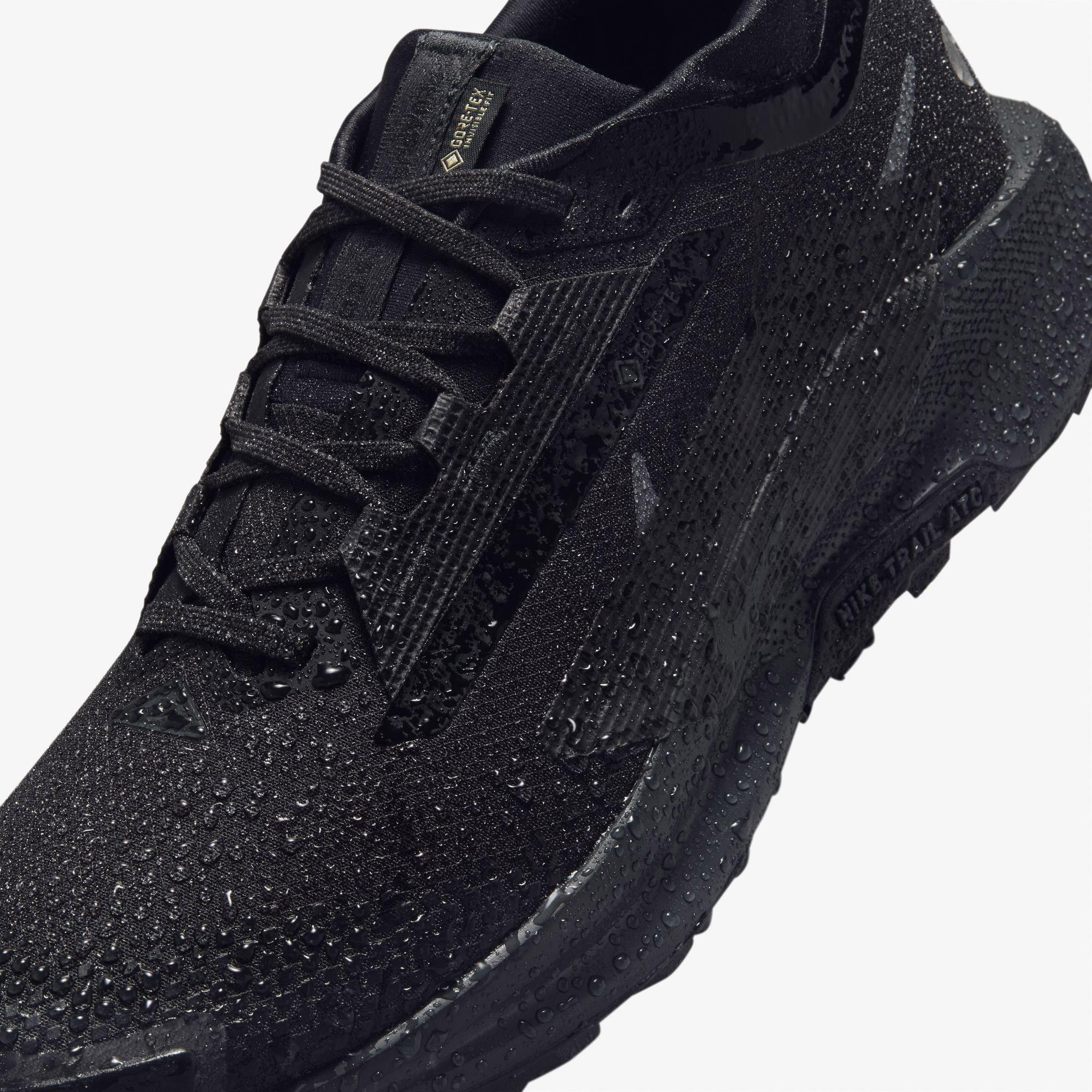 Nike Pegasus Trail 5 Gore-Tex Erkek Siyah Koşu Ayakkabısı