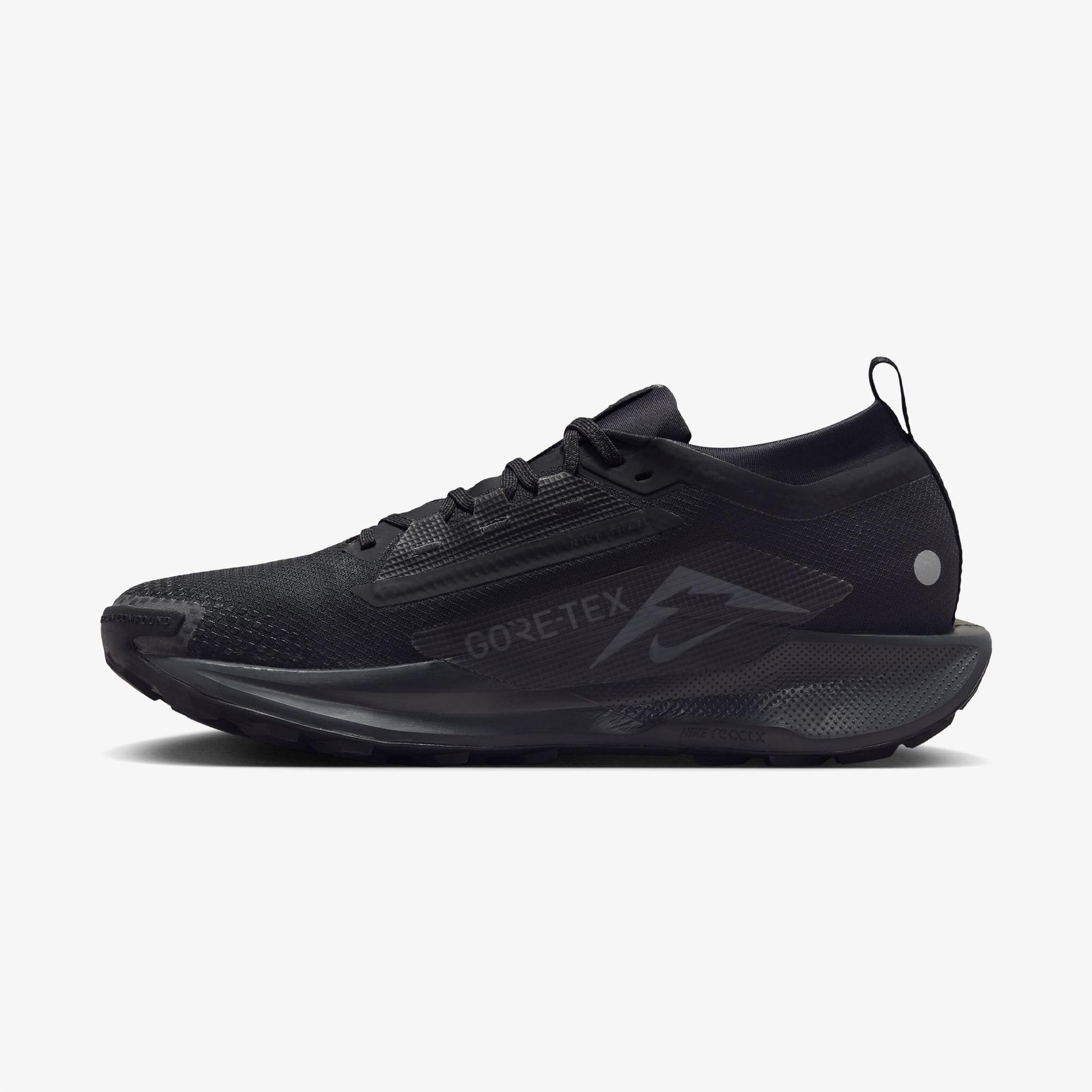 Nike Pegasus Trail 5 Gore-Tex Erkek Siyah Koşu Ayakkabısı