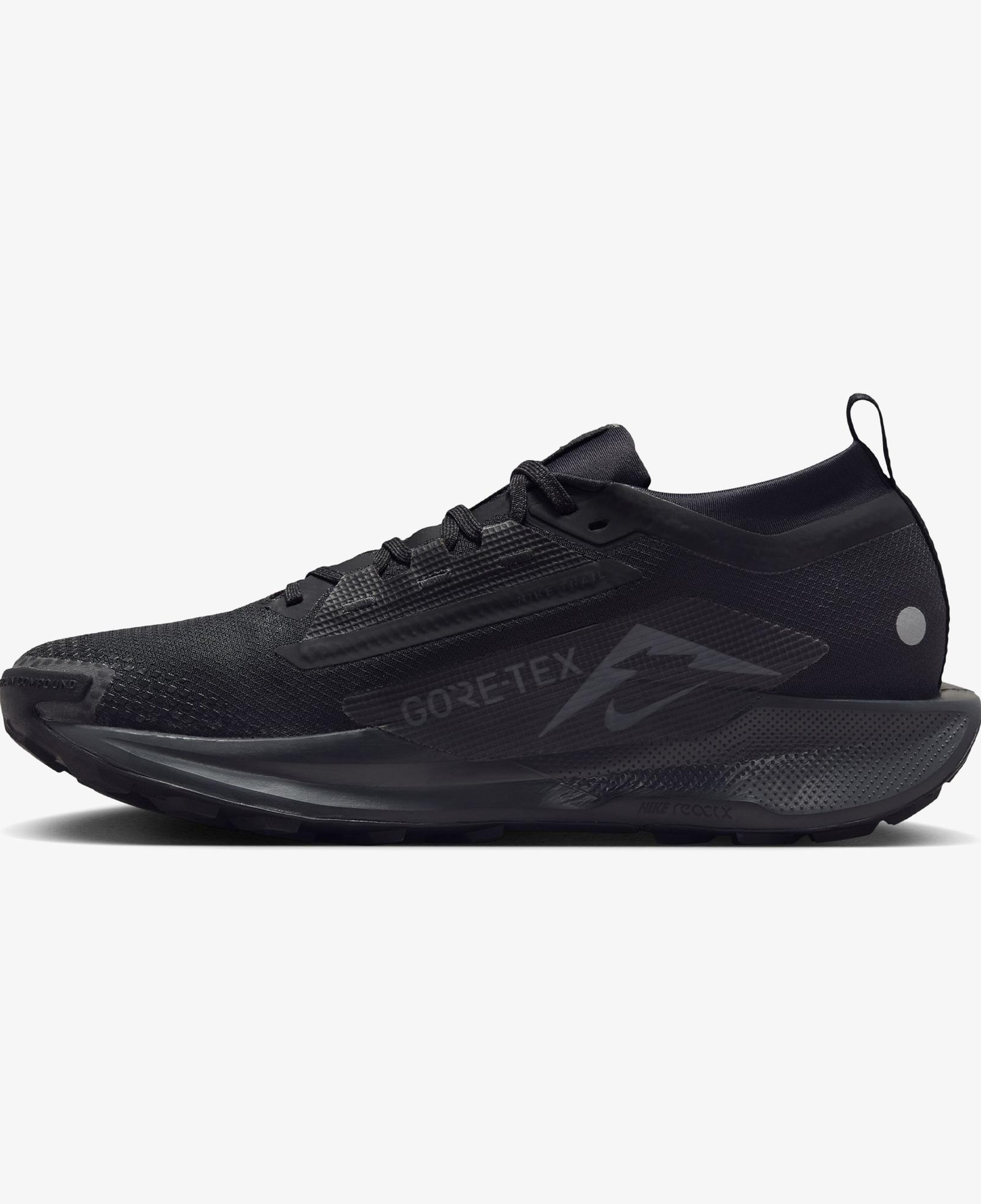 Nike Pegasus Trail 5 Gore-Tex Erkek Siyah Koşu Ayakkabısı