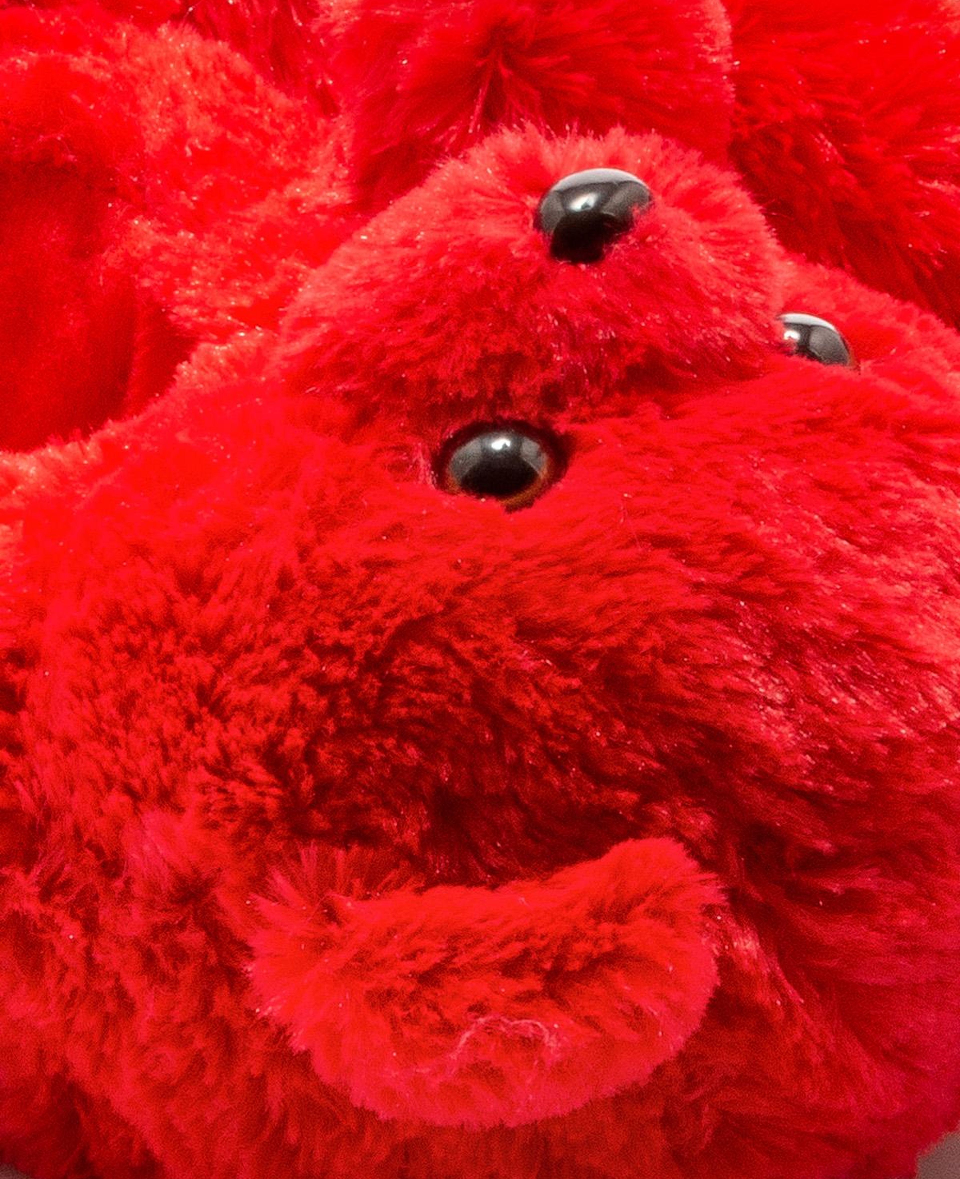 Teddy Kadın Hayvanlı Panduf Kırmızı 36/41