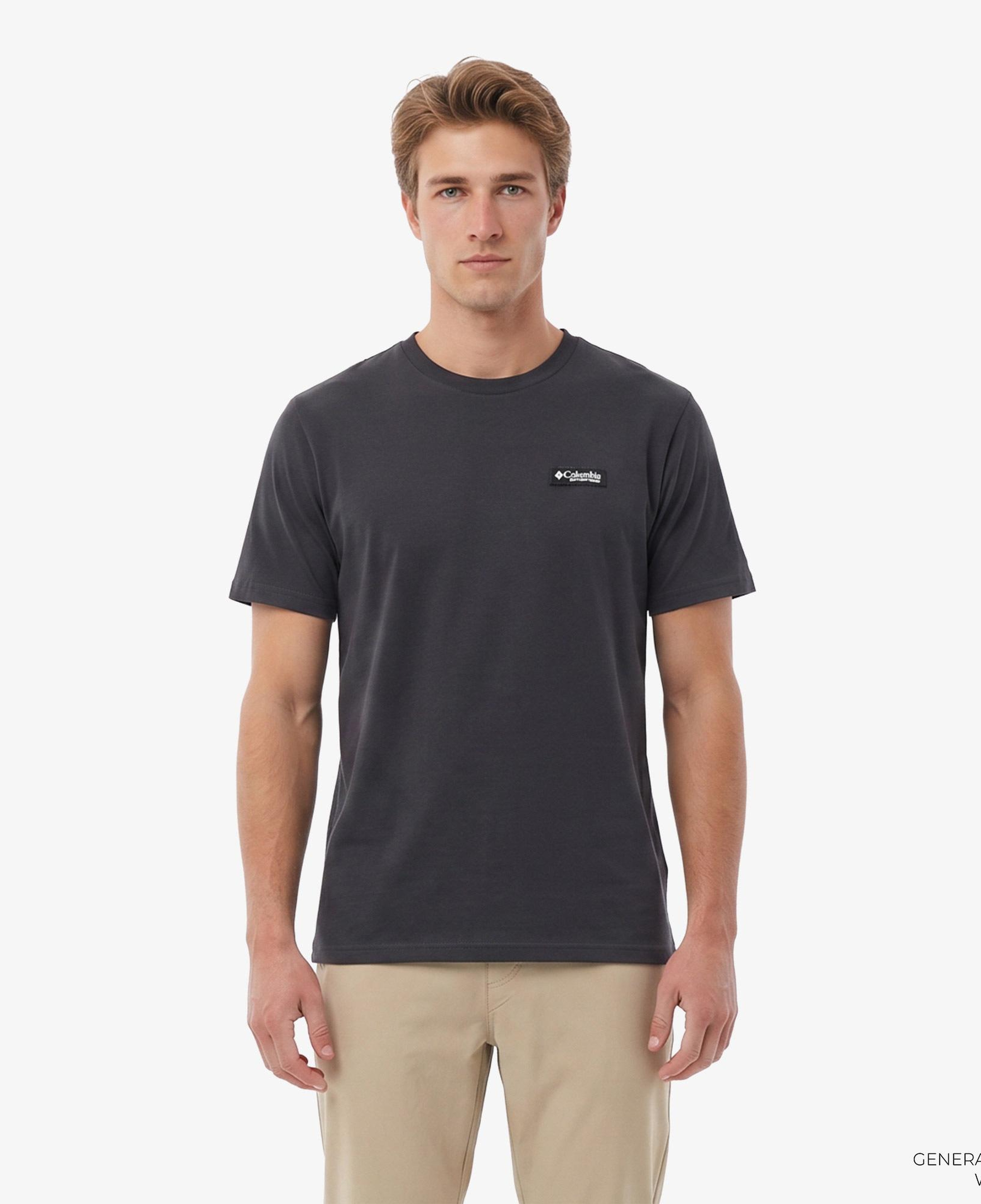 Columbia Repeated Peaks Erkek Gri T-Shirt