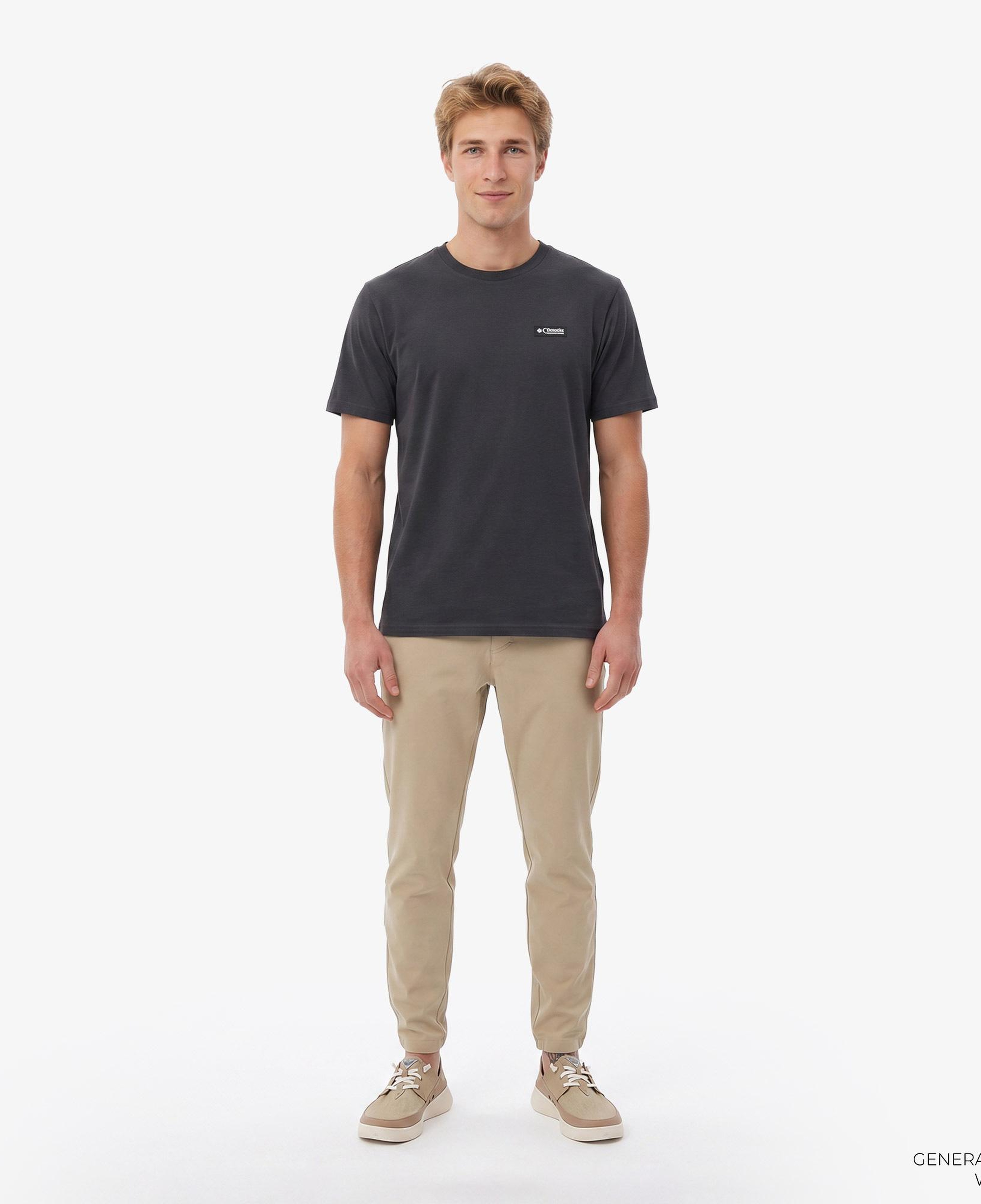 Columbia Repeated Peaks Erkek Gri T-Shirt