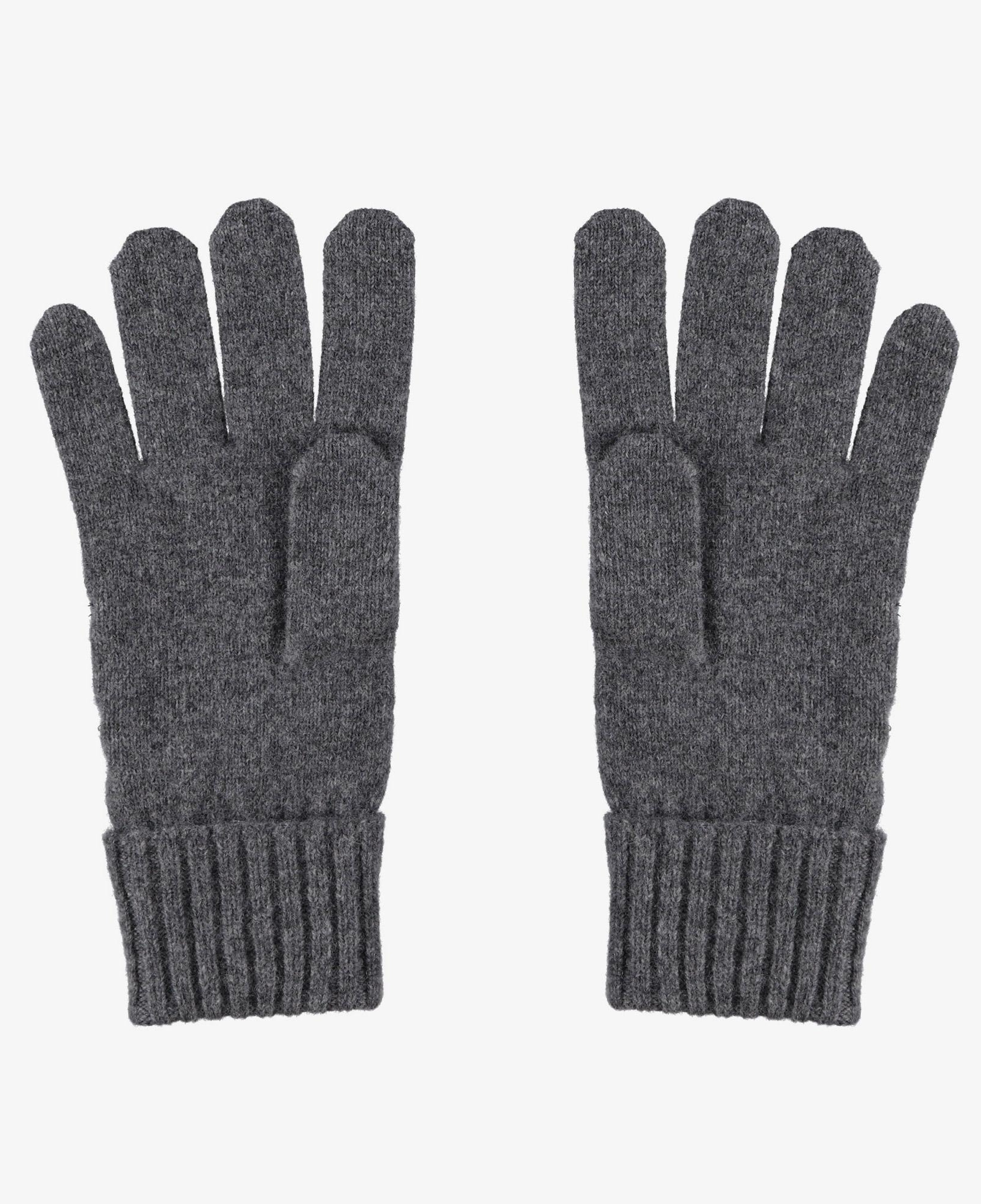 Lacoste Unisex Renk Bloklu Koyu Gri Eldiven