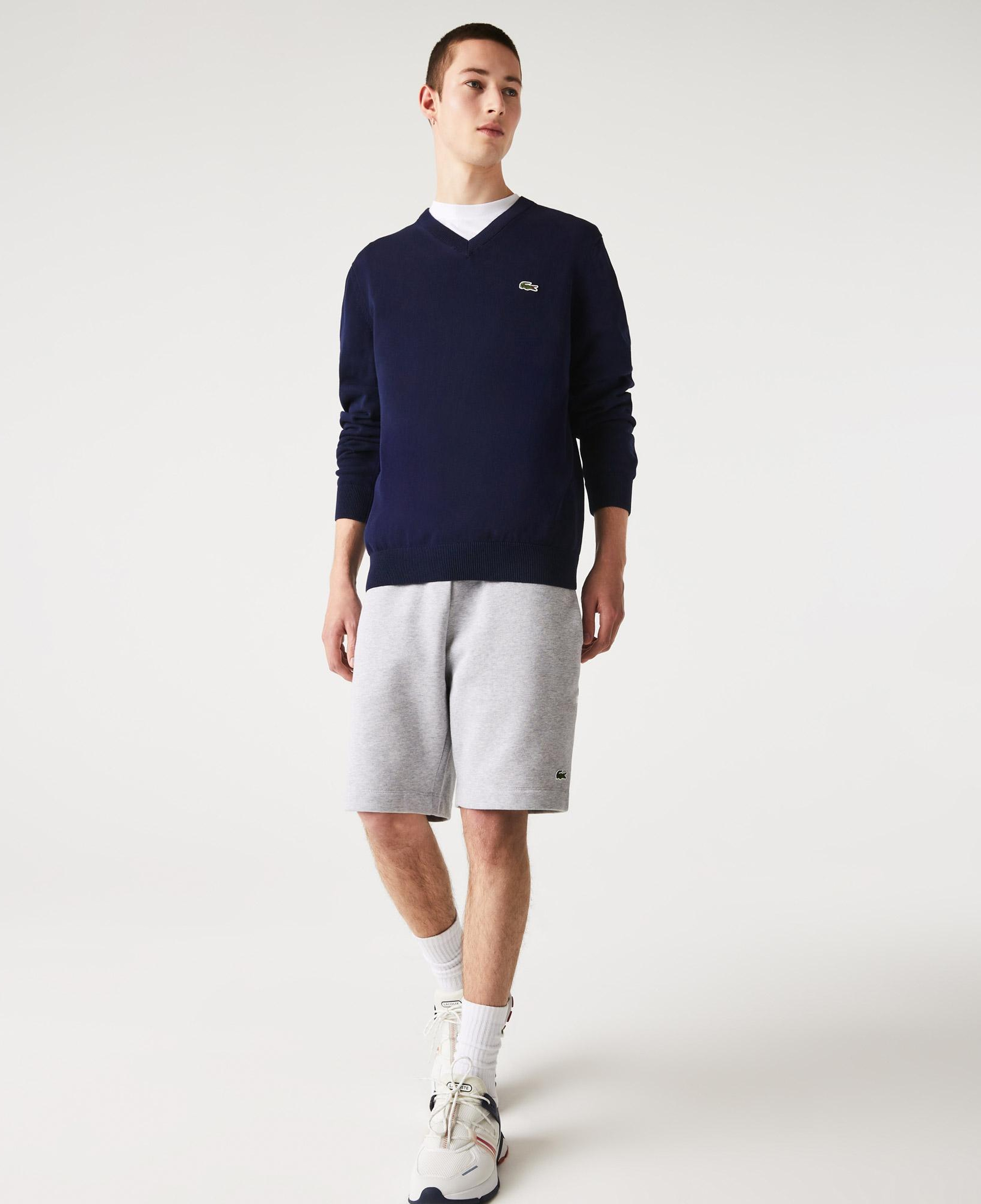 Lacoste Erkek Regular Fit V Yaka Lacivert Triko