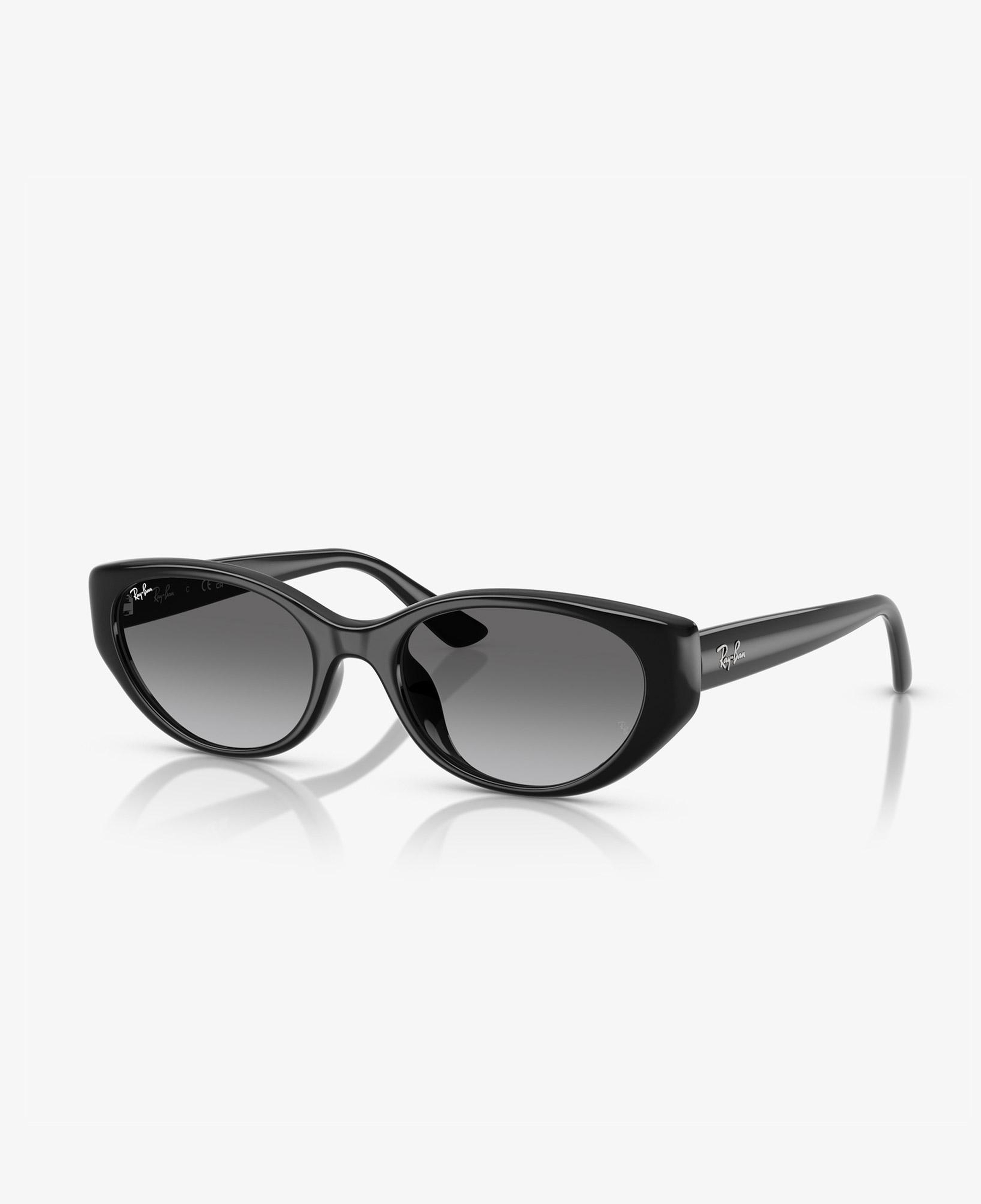 Ray-Ban RB4457D Unisex Siyah Güneş Gözlüğü