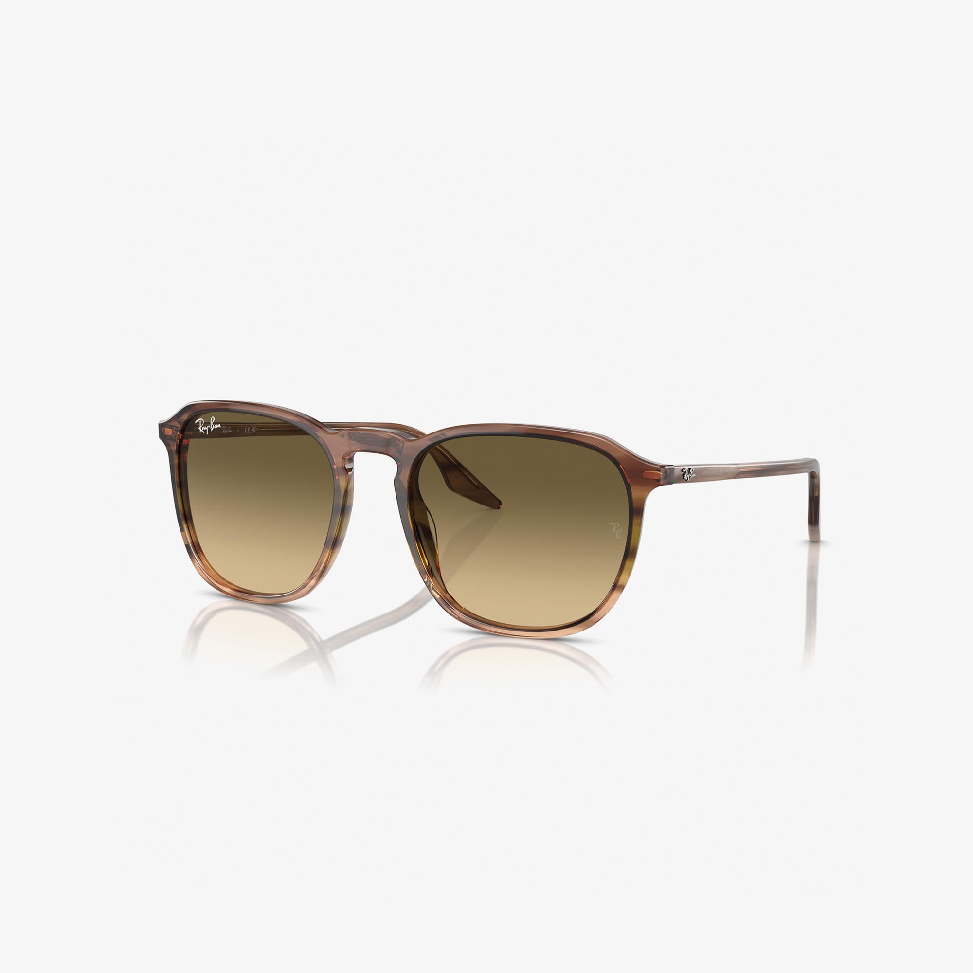 RAY-BAN 0RB2203 Acetate Unisex Kahverengi Güneş Gözlüğü