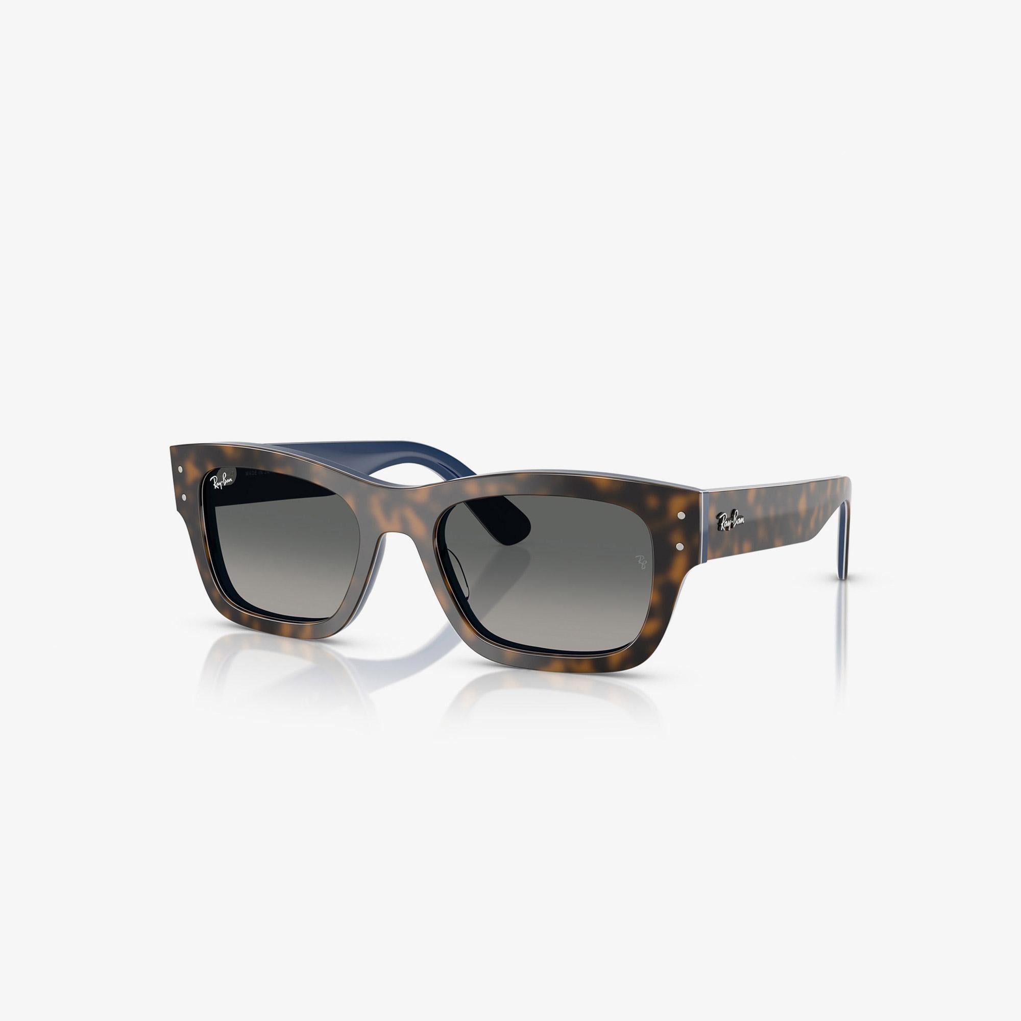 Ray-Ban Joseph RB7683S Unisex Kahverengi Güneş Gözlüğü