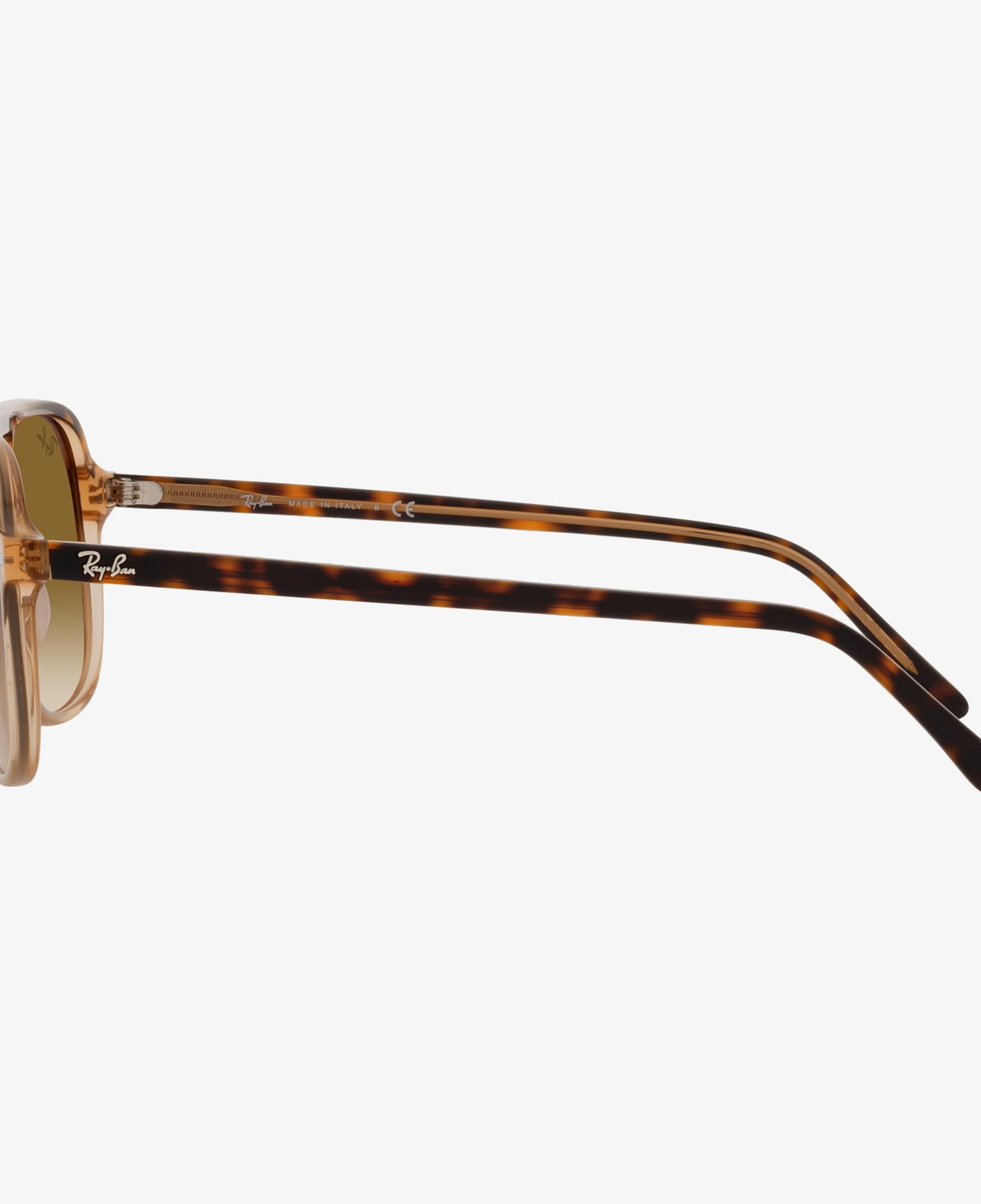 Ray-Ban 0RB2198 Unisex Havana On Transparent Kahverengi Güneş Gözlüğü