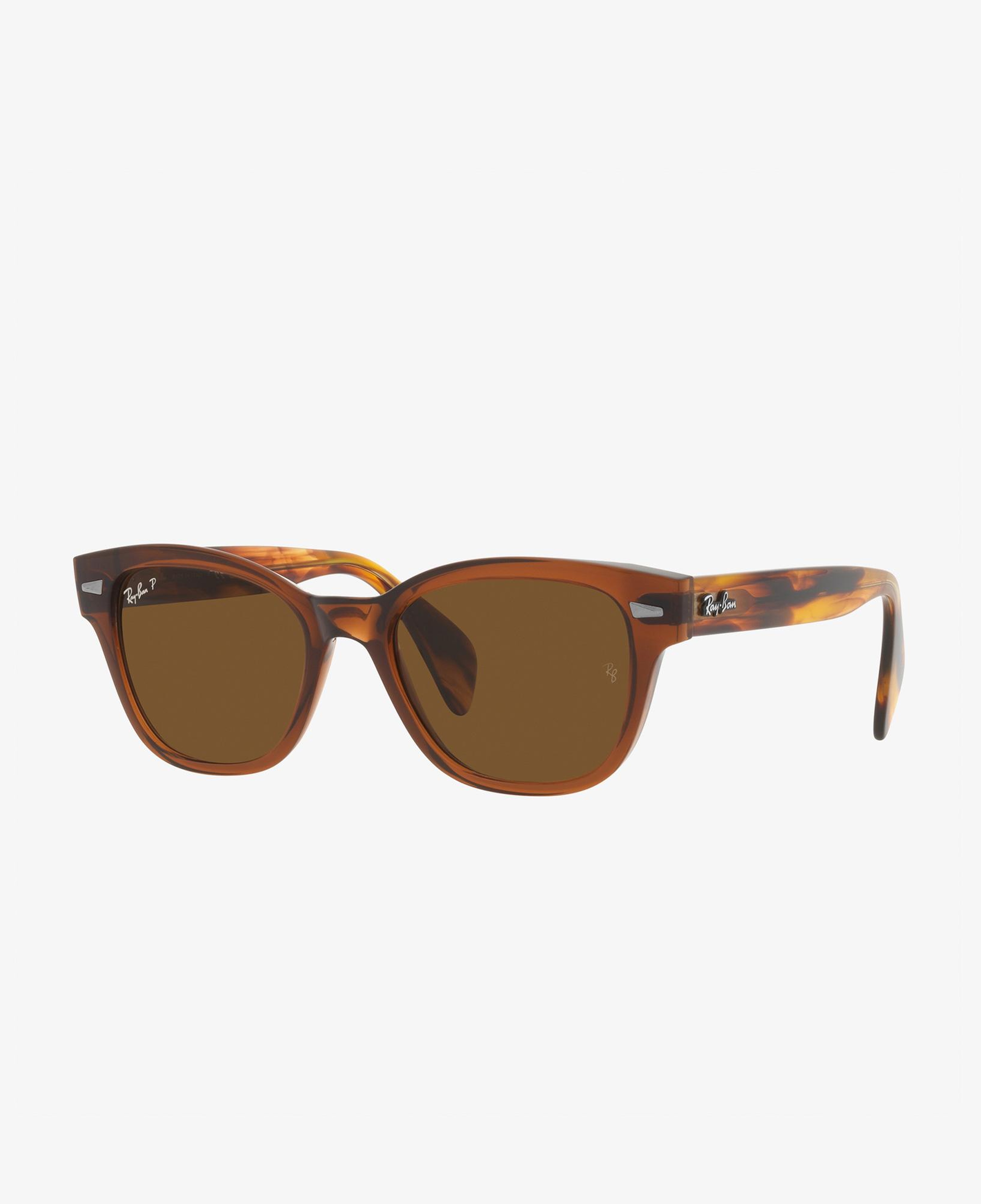 RAY-BAN 0RB0880S Unisex Kahverengi Güneş Gözlüğü