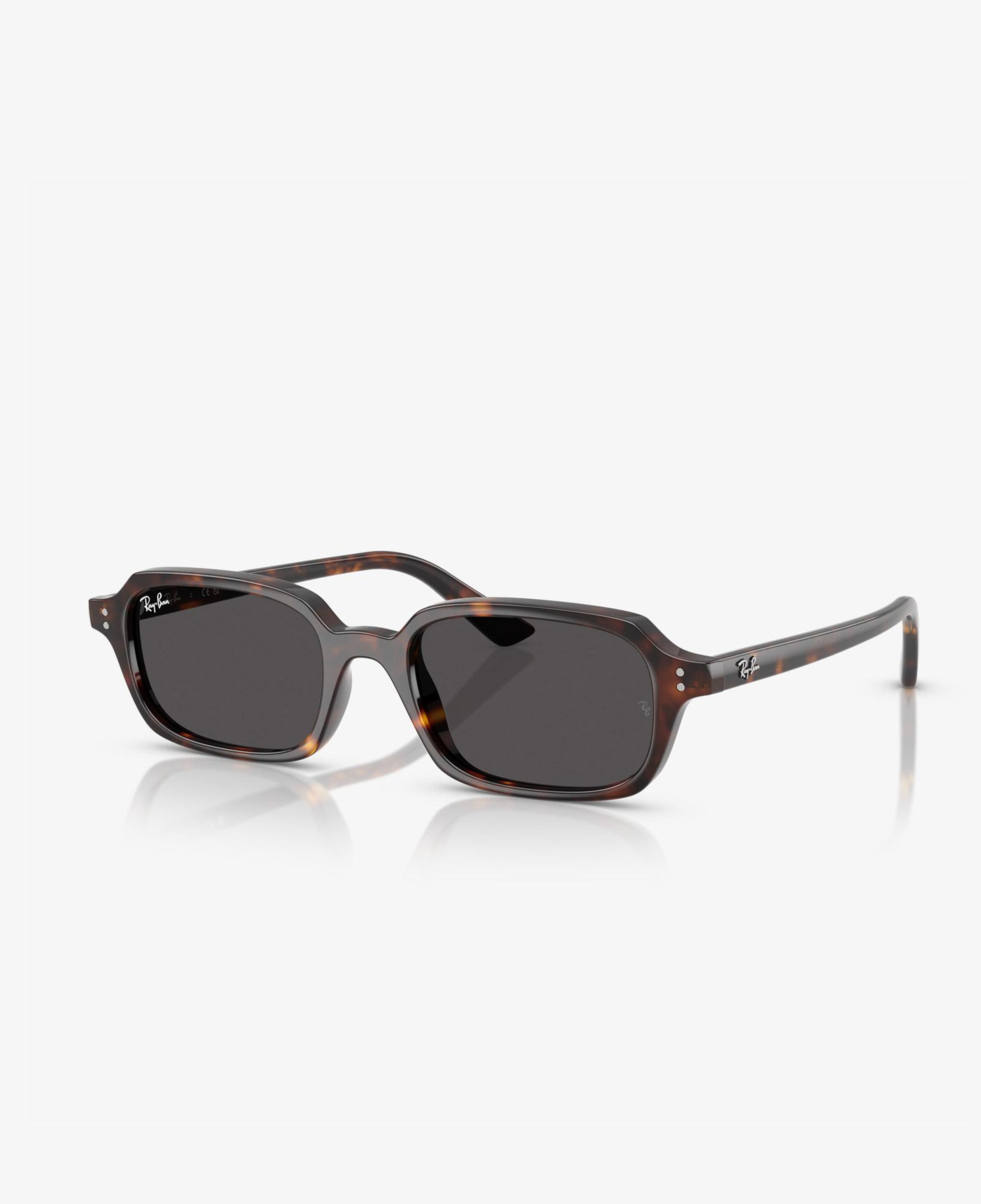 Ray-Ban RB4455 Unisex Kahverengi Güneş Gözlüğü