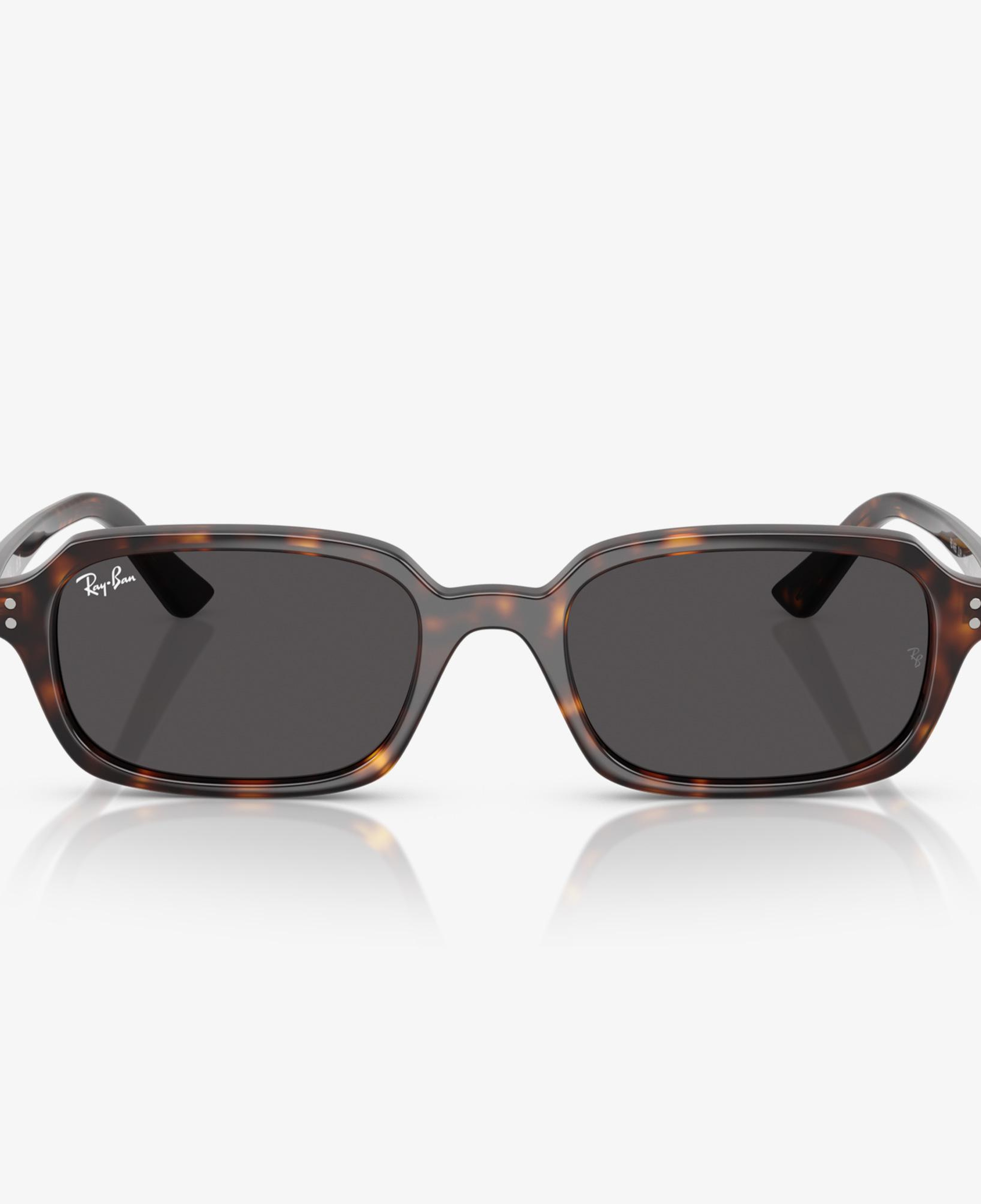 Ray-Ban RB4455 Unisex Kahverengi Güneş Gözlüğü