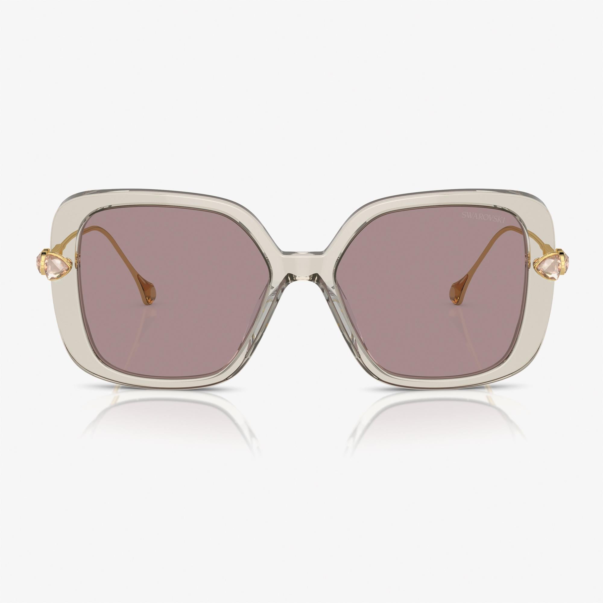 Swarovski 0SK6011 Acetate Kadın Kahverengi Güneş Gözlüğü