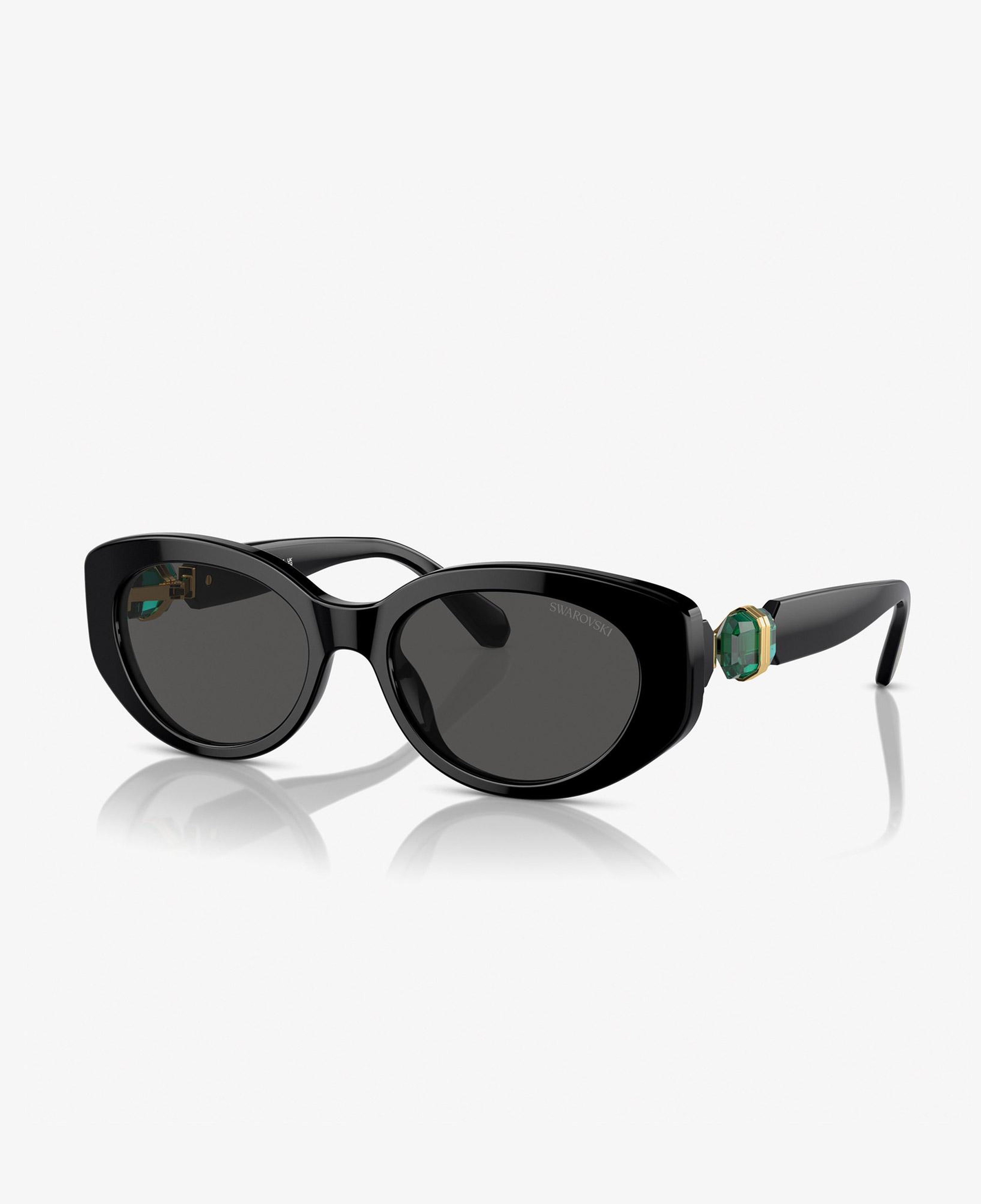 Swarovski 0SK6002 Acetate Kadın Siyah Güneş Gözlüğü