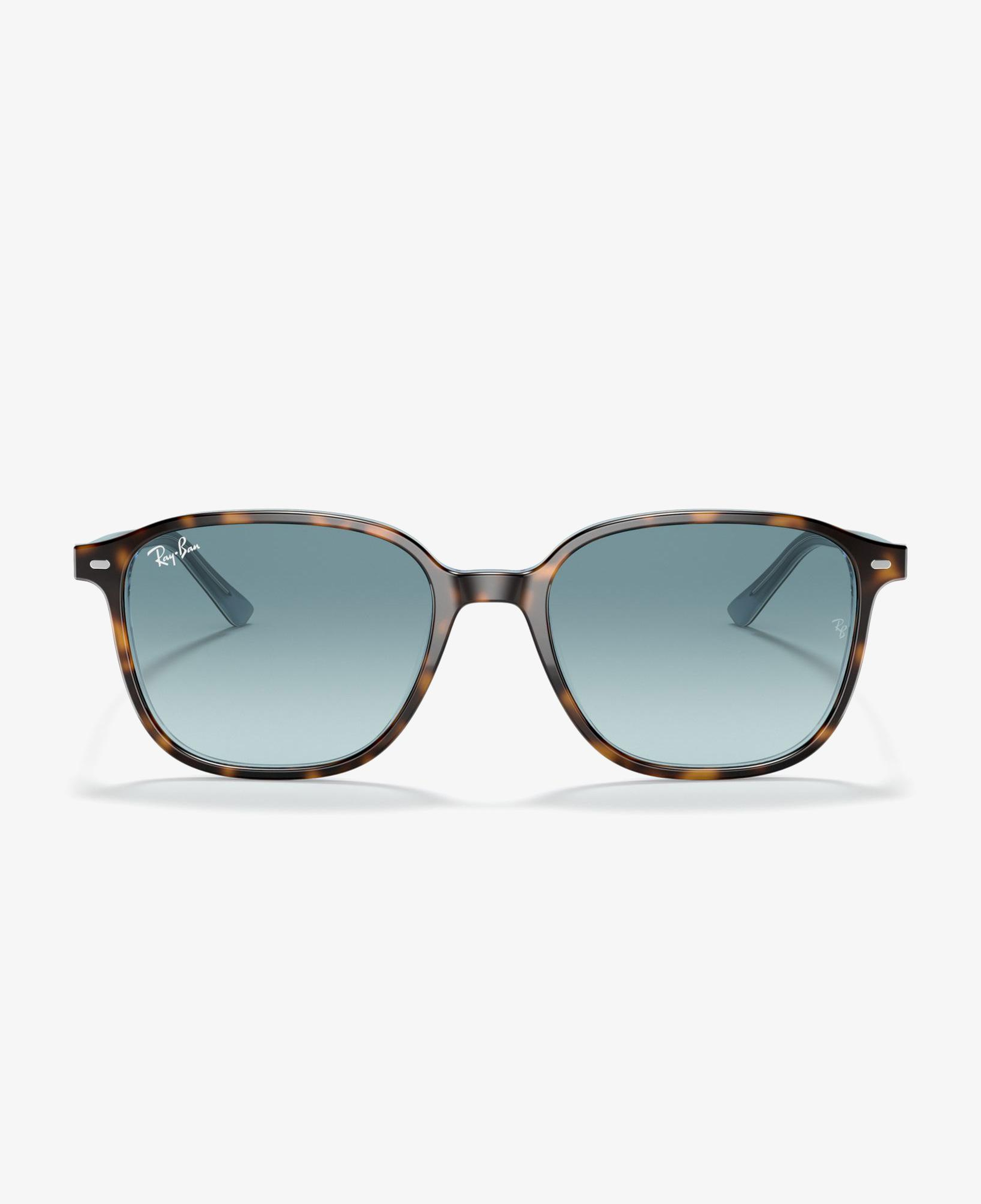 RAY-BAN 0RB2193 Leonard Unisex Top Havana Renkli Güneş Gözlüğü