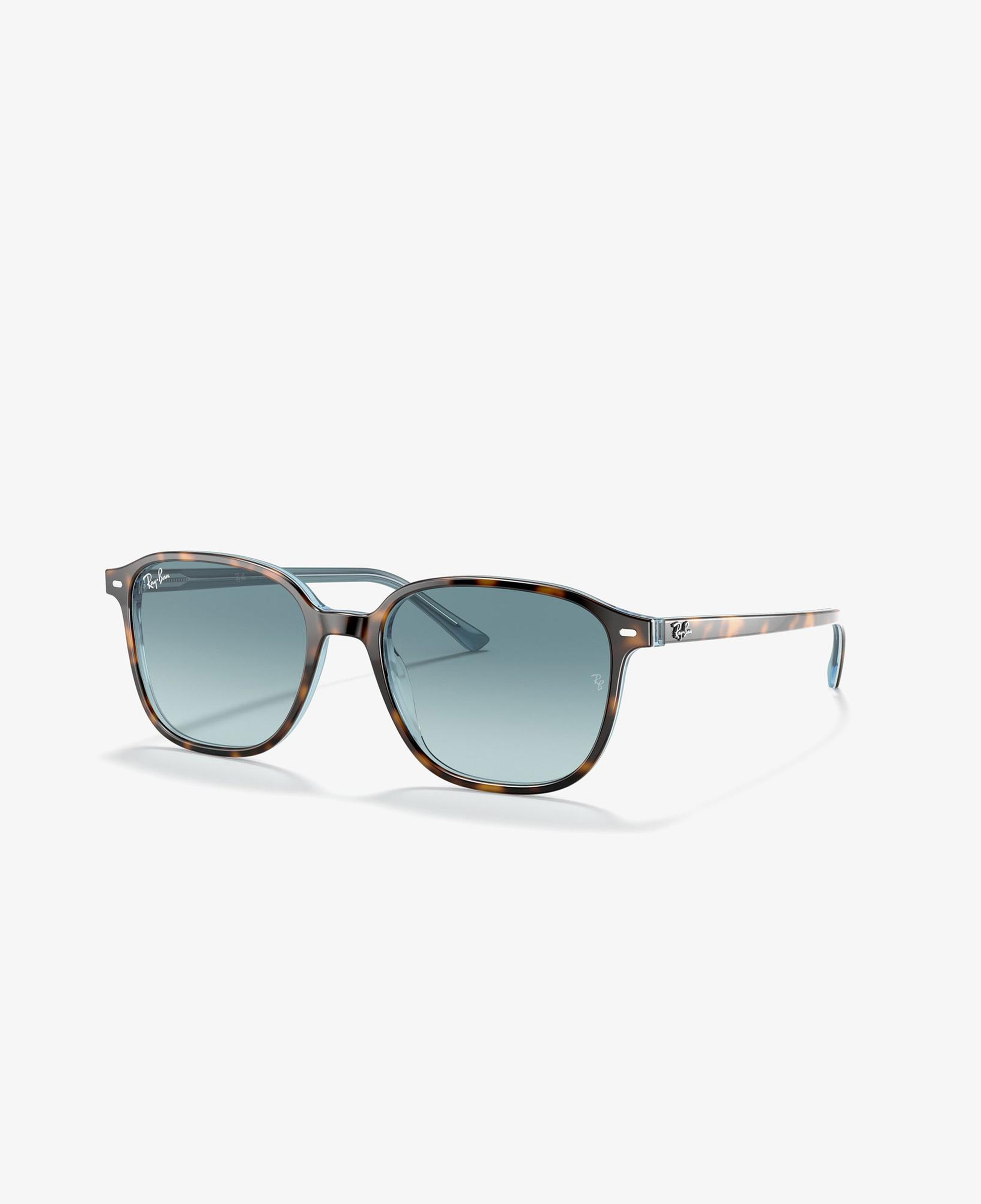 RAY-BAN 0RB2193 Leonard Unisex Top Havana Renkli Güneş Gözlüğü