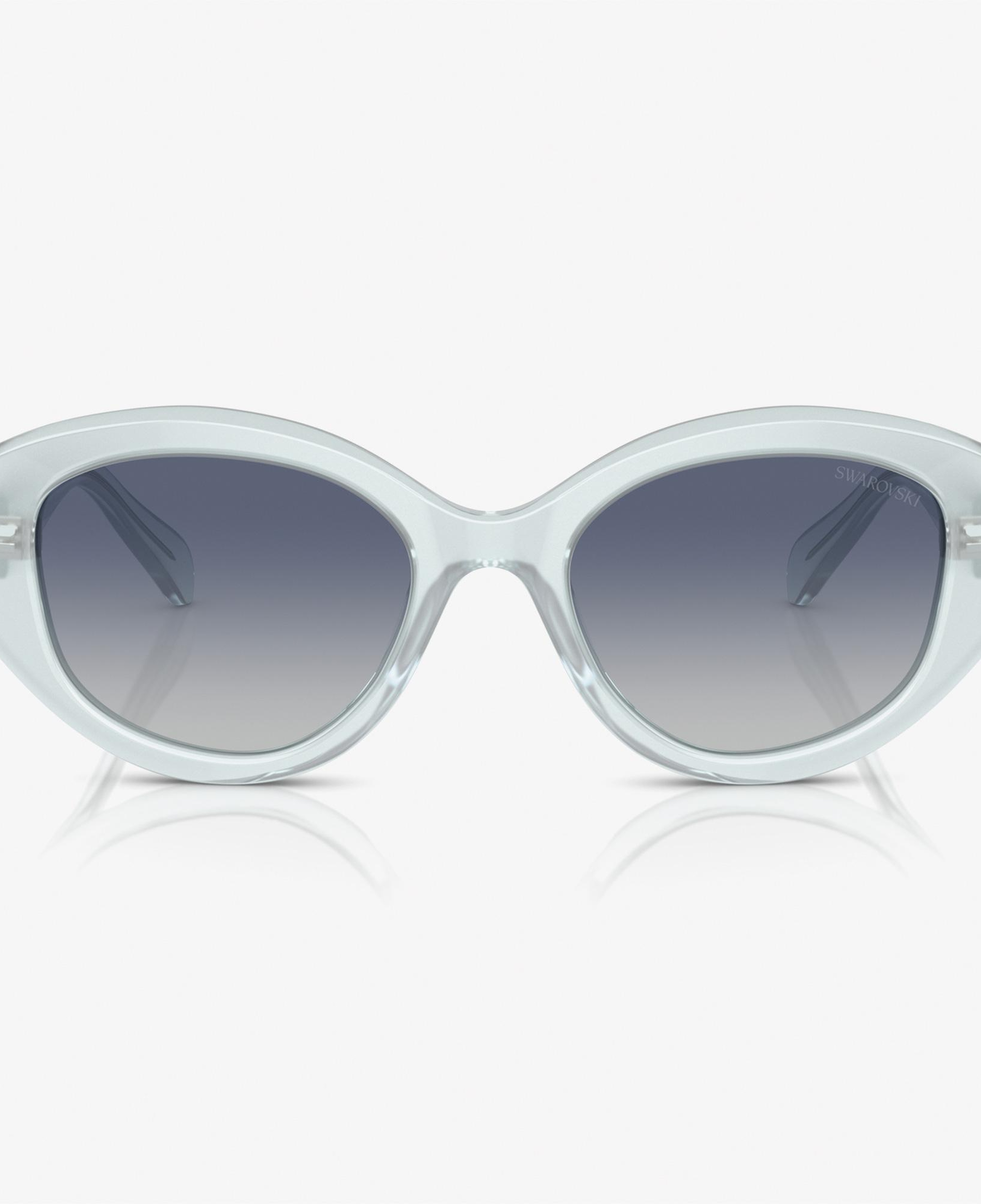 Swarovski 0SK6005 Acetate Kadın Mavi Güneş Gözlüğü